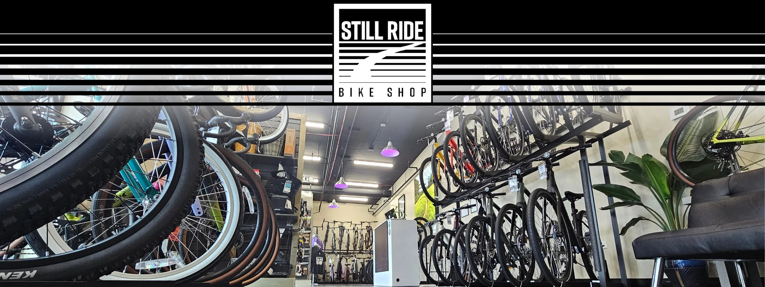 Interior of a bike shop with various bicycles on display and a logo that reads 'Still Ride Bike Shop' at the top.