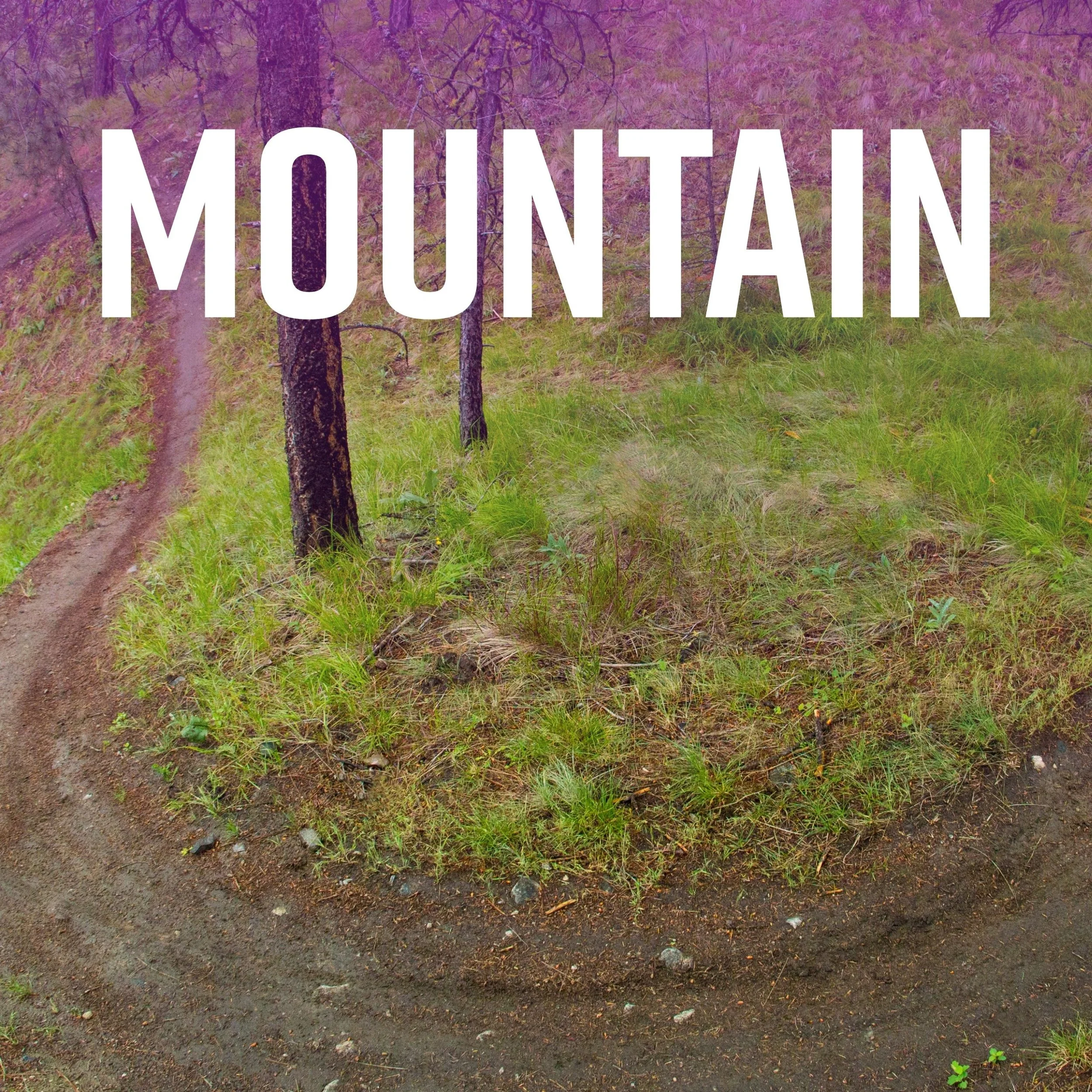 A dirt trail in a forest with grass and trees, and a handwritten sign that says "MOUNTANA".