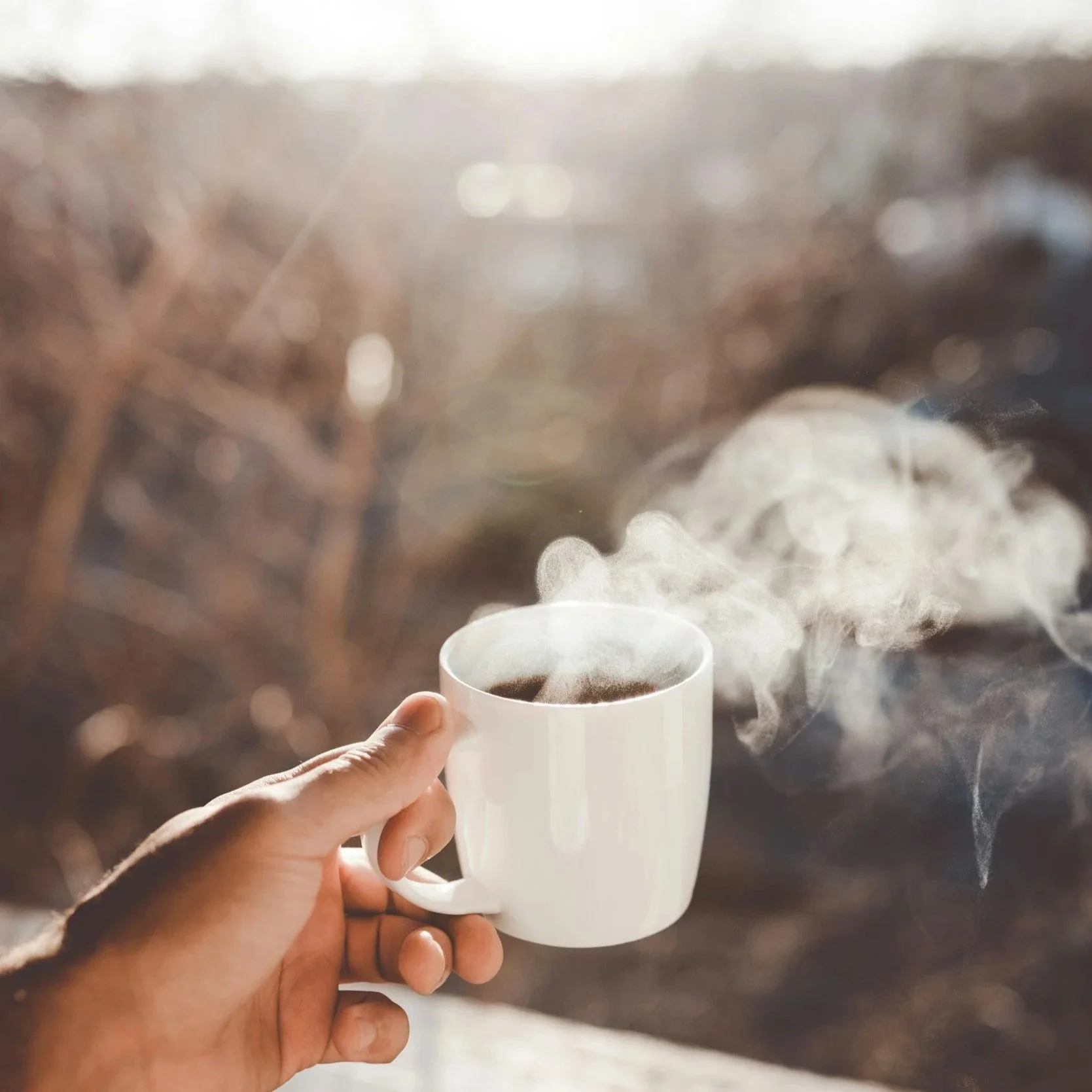 Why Morning Light Matters More Than You Think