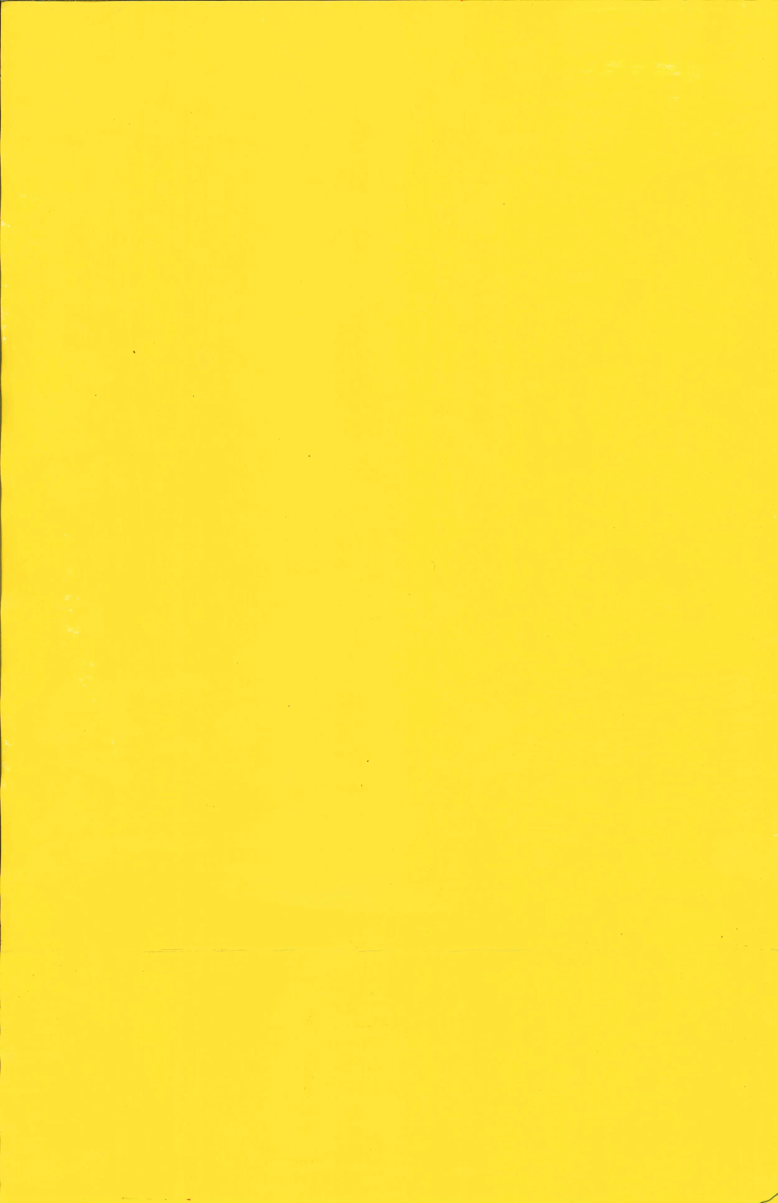 Back Cover.jpg
