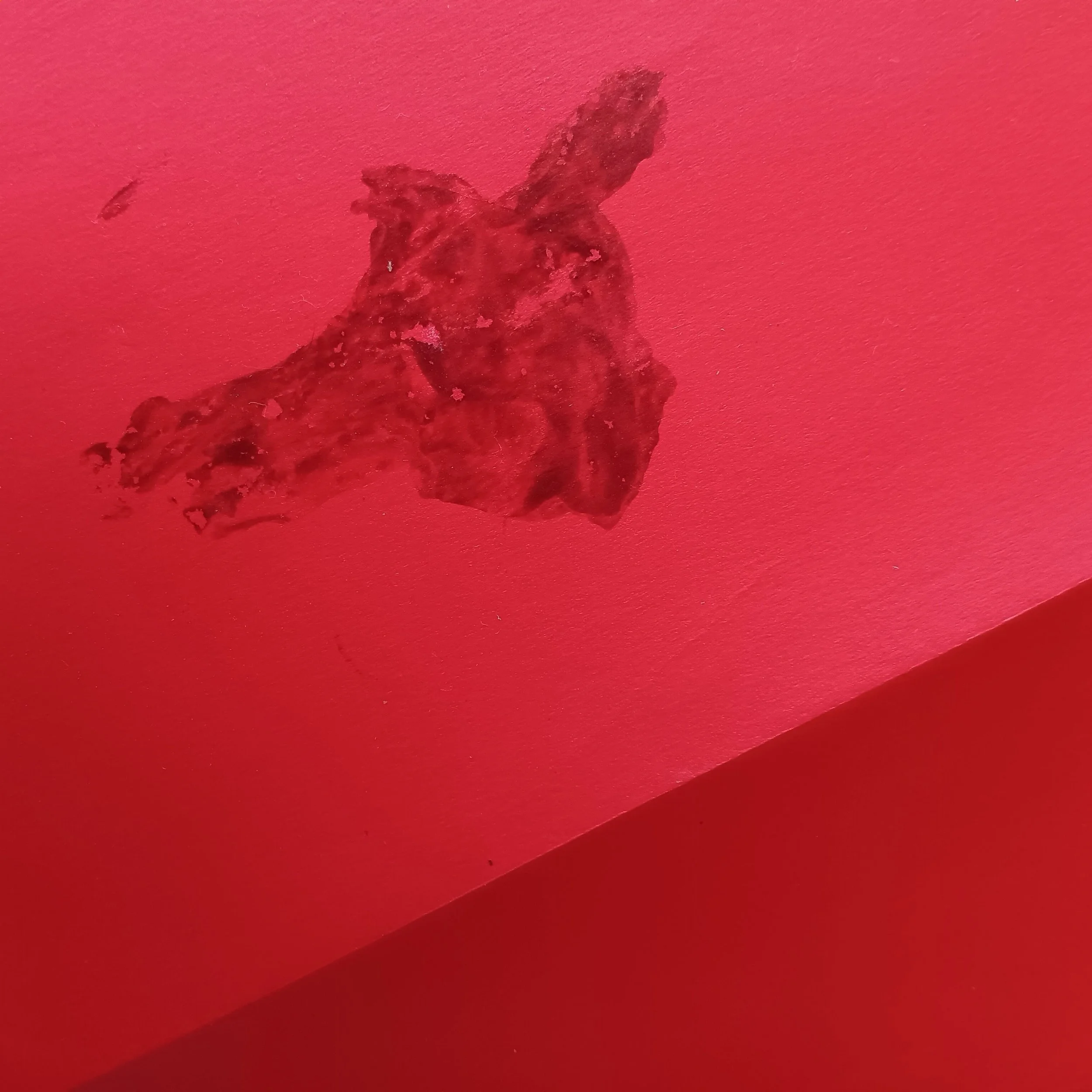 Not the blood of transphobia