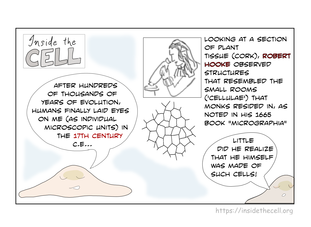       
  
    How the cell got its name  PDF of this infographic is  here ; PNG image of this infographic is  here   More info here:   https://education.nationalgeographic.org/resource/history-cell-discovering-cell/     


  
 #block-b5968c30dfc7a27e