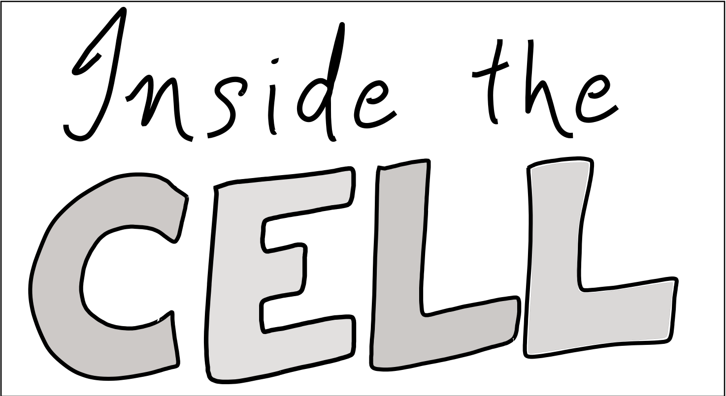 Inside the Cell