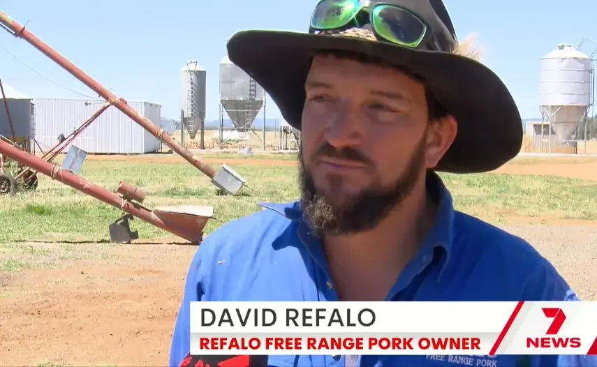 A central west farmer is raising pigs the old school way... outside.