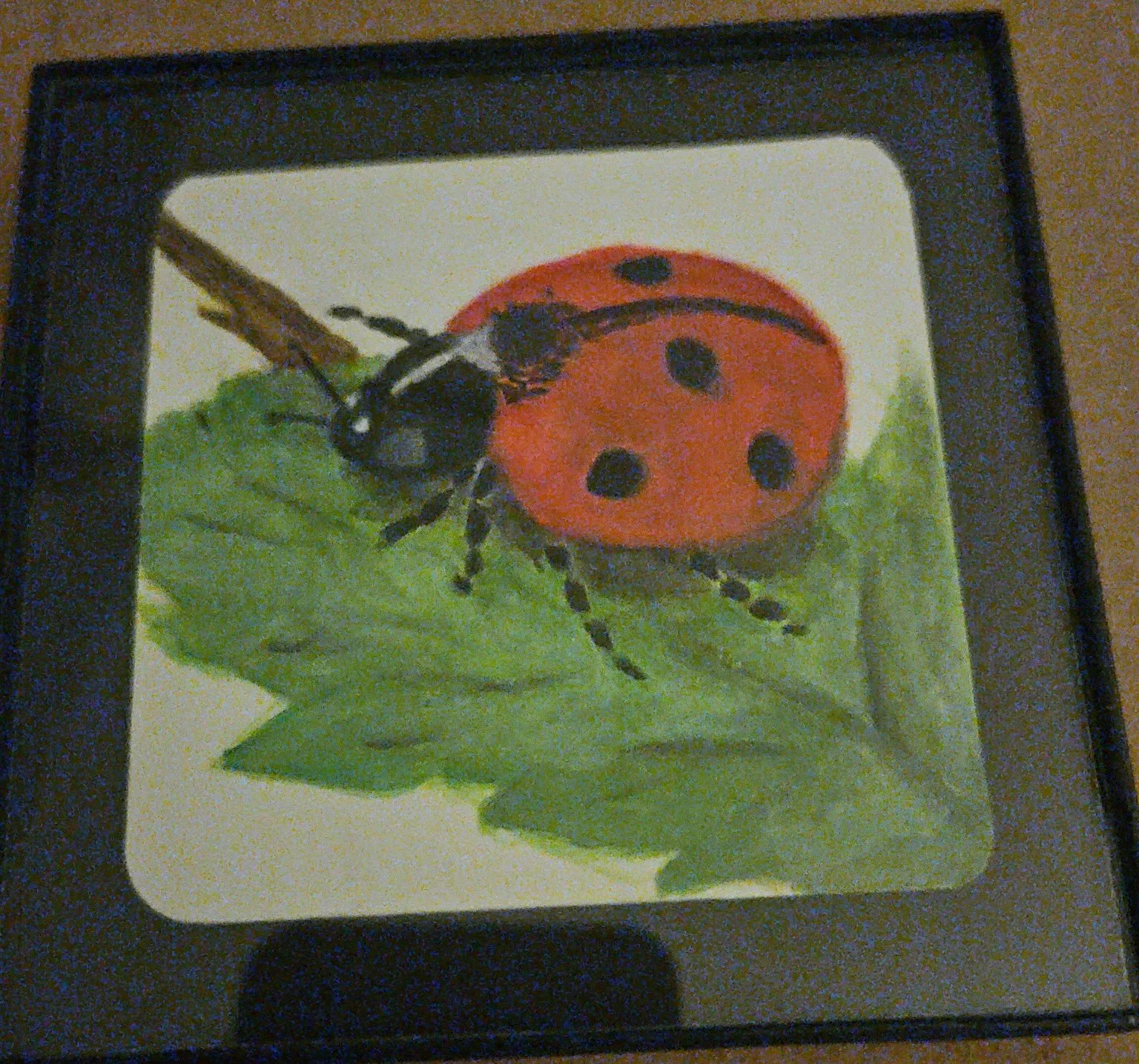 Lady Bug
