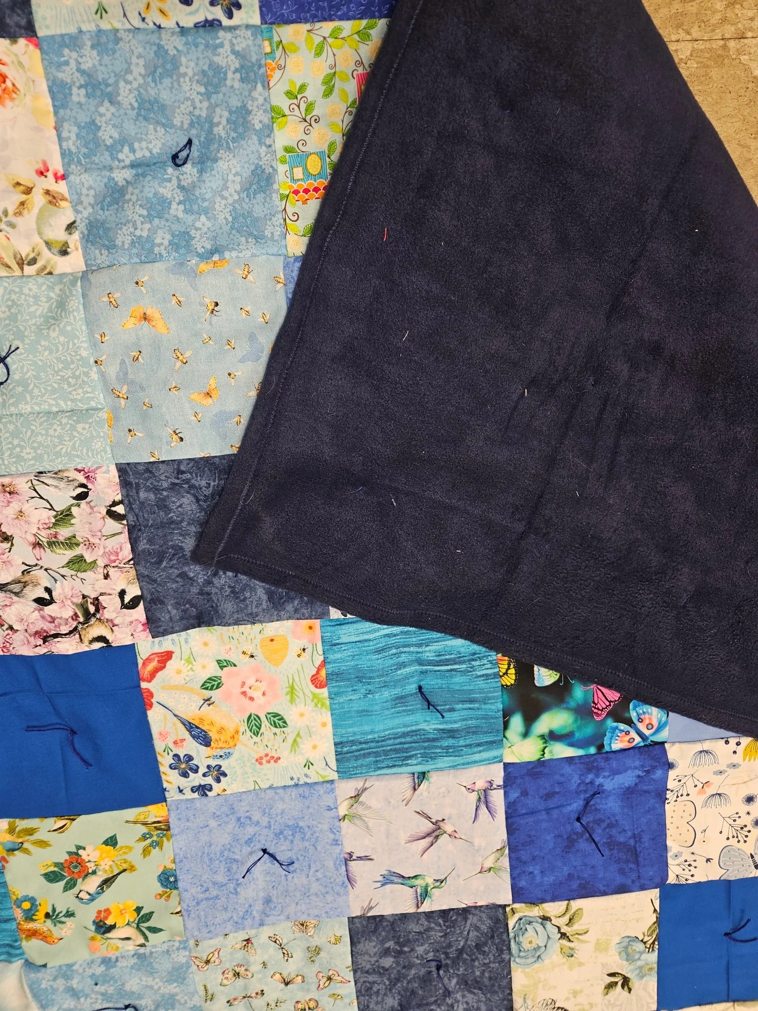 Blue BirdsnButterflies2.jpg