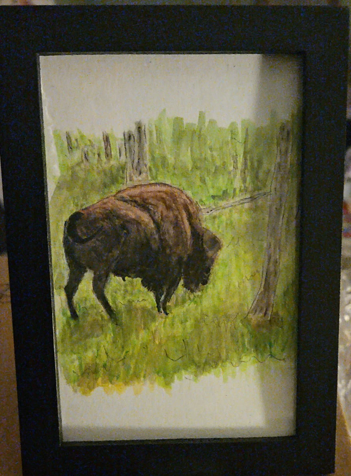 Buffalo in South Dakota - Watercolor 4x6