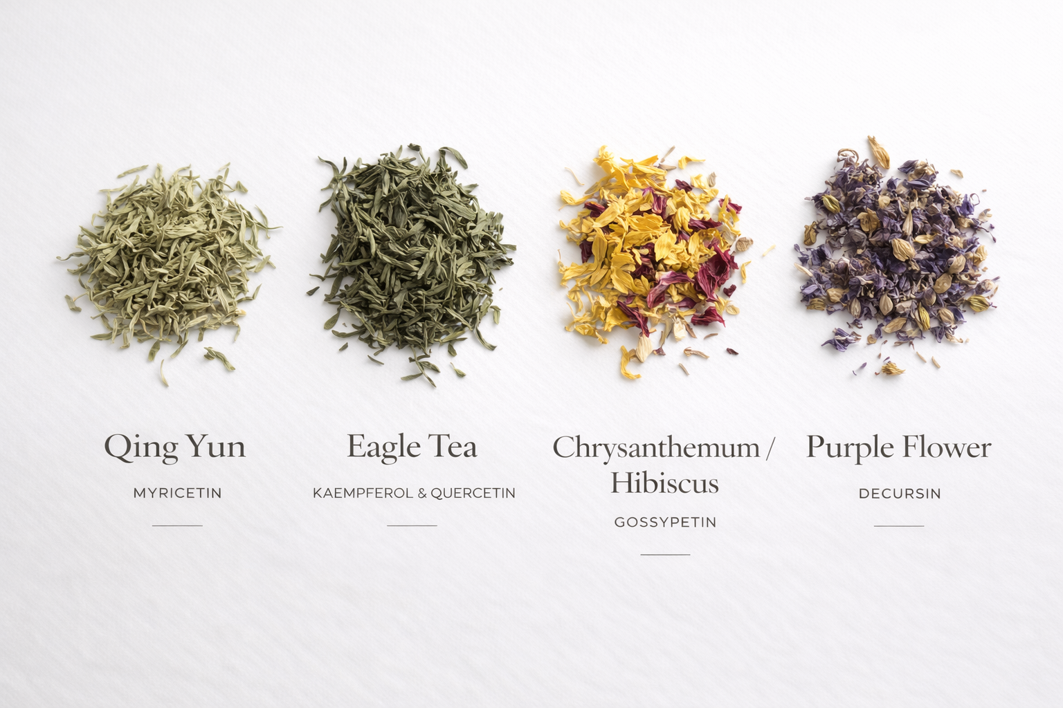 foundationalfourproductshot .png