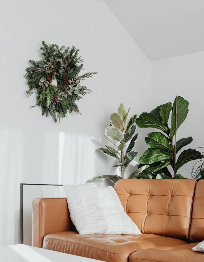 Living room with a tan leather sofa, a white pillow, a plant with large green leaves, and a Christmas wreath hanging on a white wall.