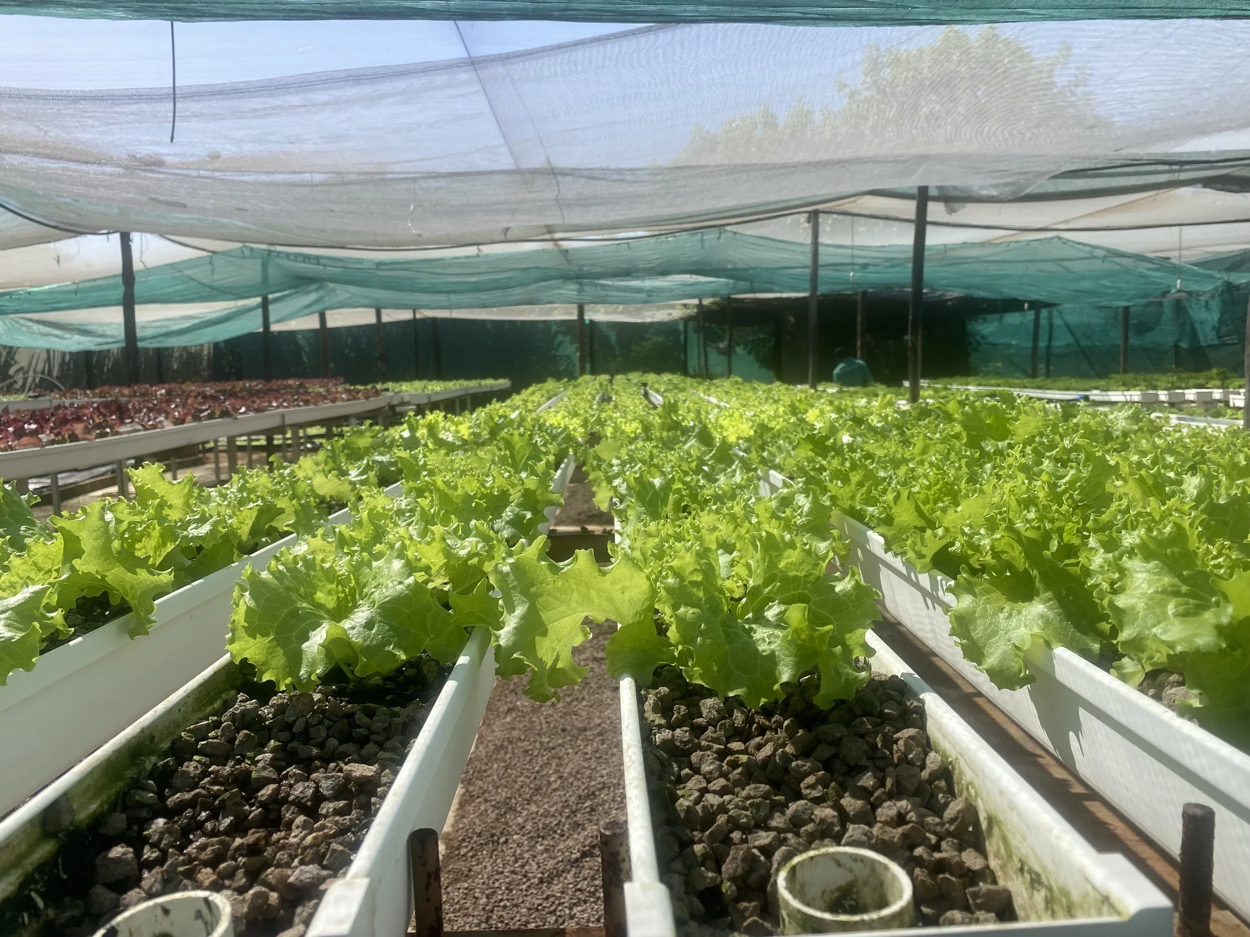 PFL Bots May 10.jpeg