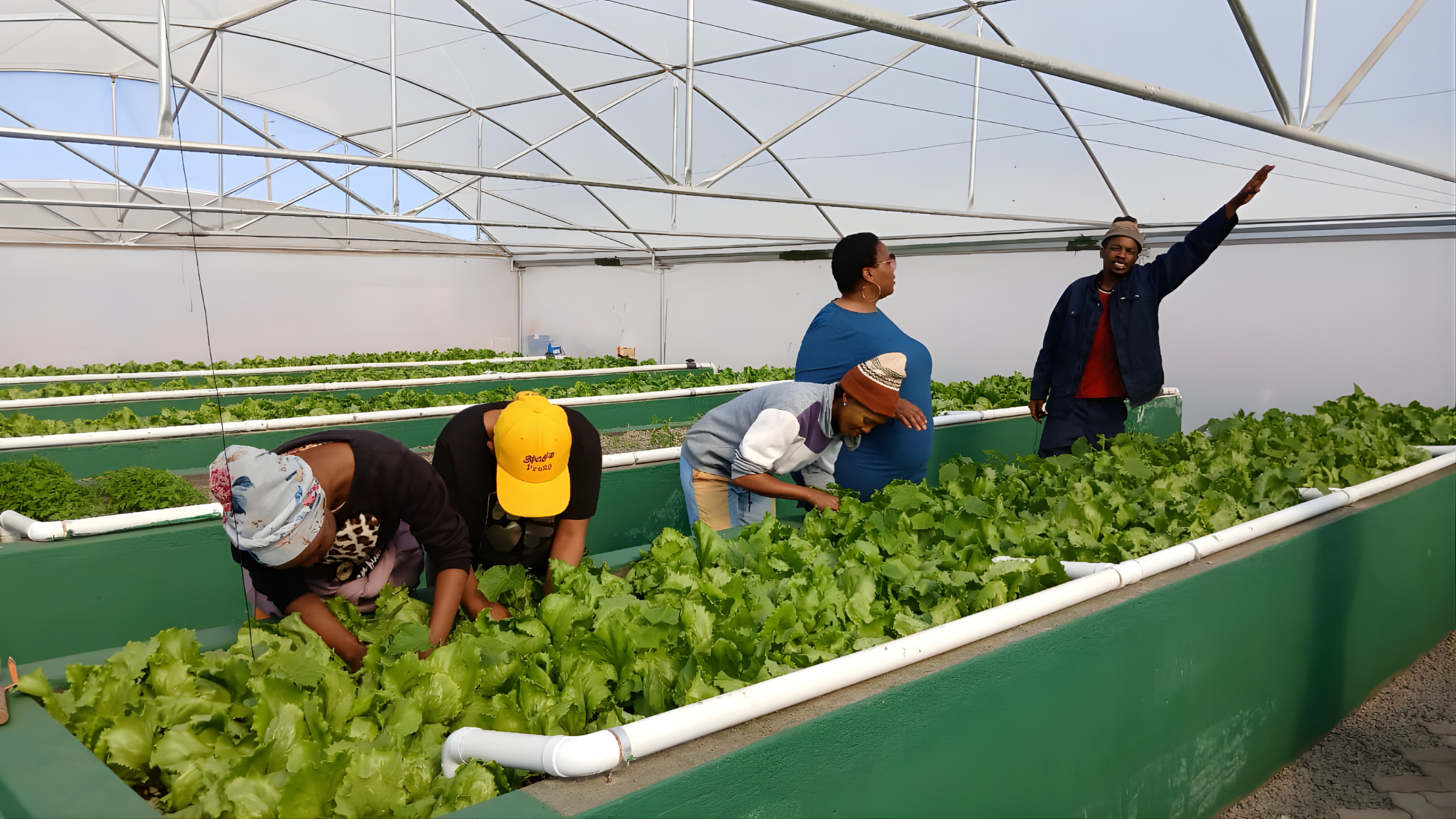 Aquaponics farm in Platfontein (South Africa).png