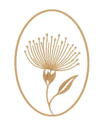  Corymbia Psychology. Gentle, thoughtful and effective care.