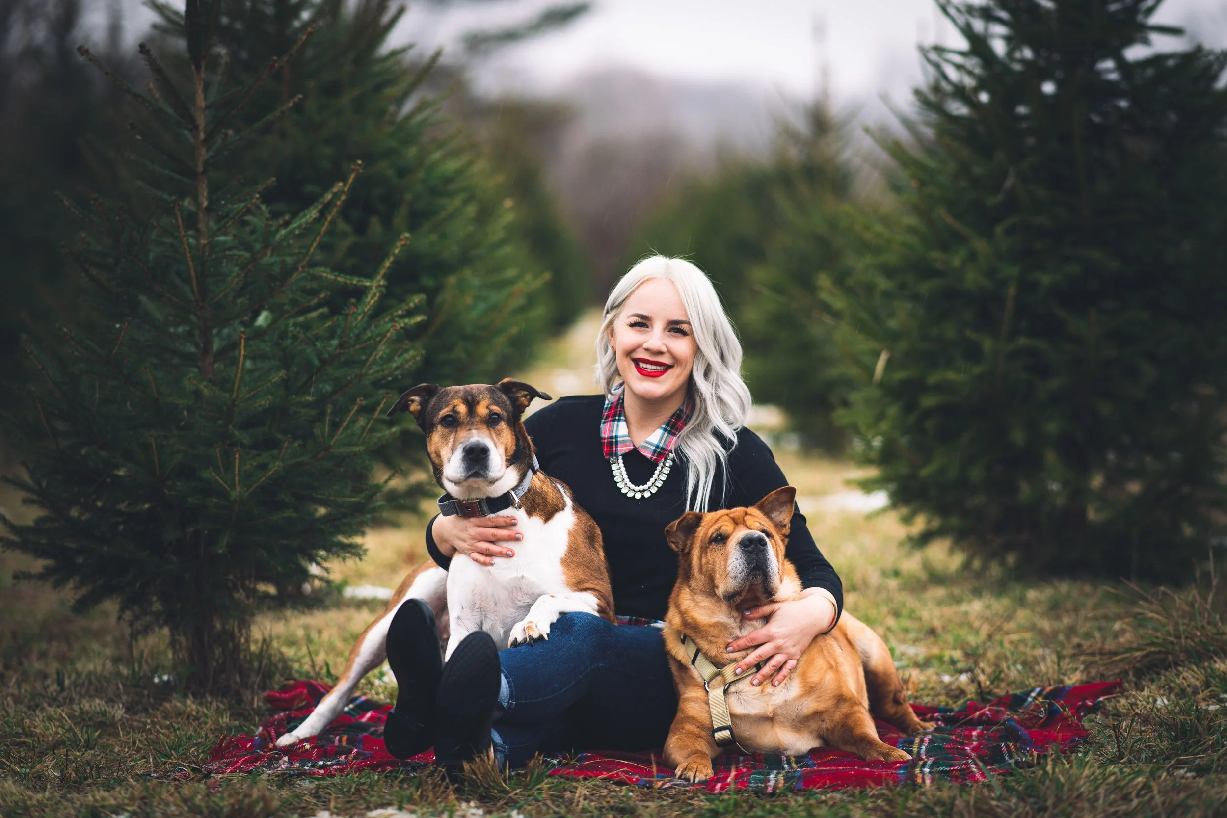 A woman with long silver hair and red lipstick sitting on a plaid blanket outdoors, surrounded by evergreen trees, hugging two dogs, one medium-sized with a brown and white coat and one smaller with a mainly brown coat.