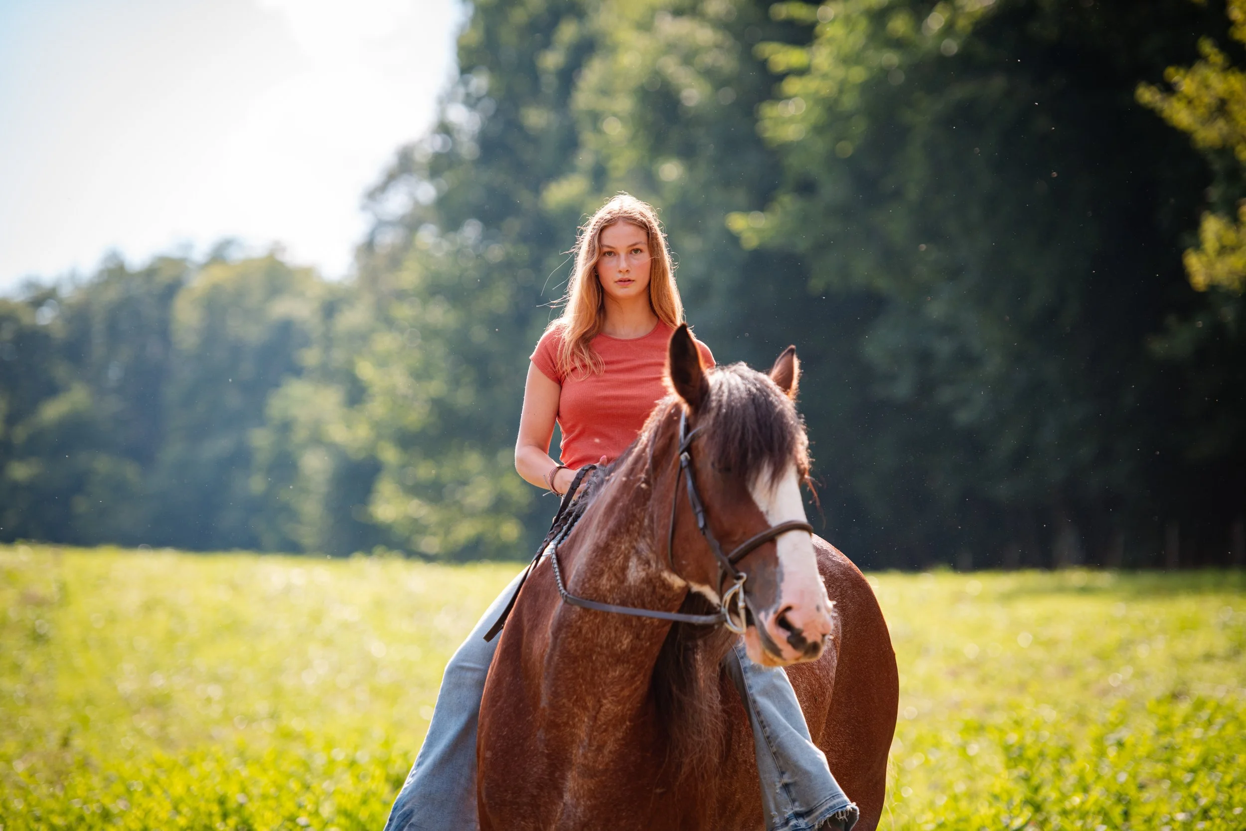 Young woman riding a brown and white horse in a grassy field with trees in the background on a sunny day.