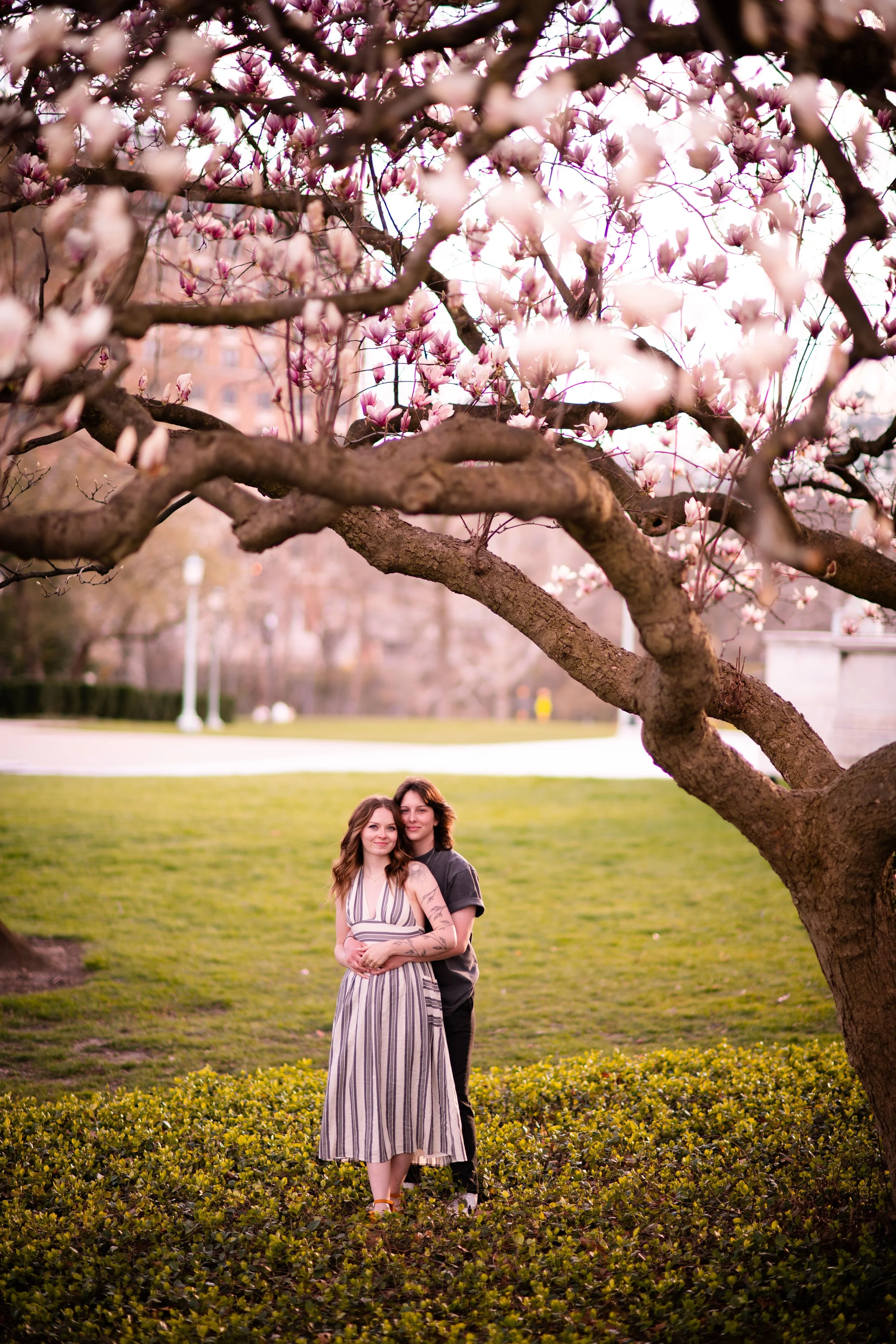 A young couple standing close together under a large, blooming tree with pink flowers in a park during spring, with grassy area and a pathway in the background.