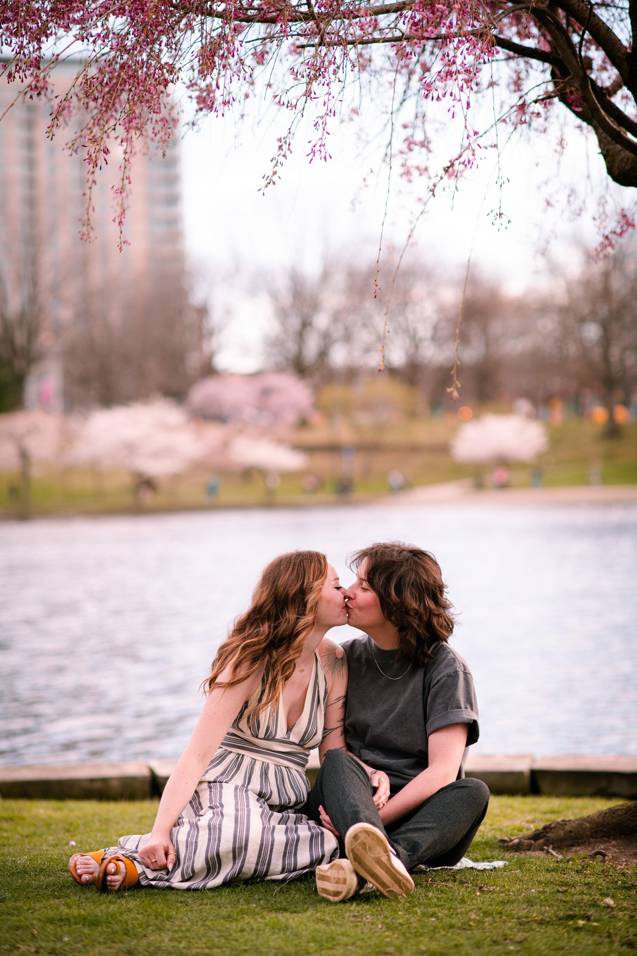 A couple sitting on grass by a lake, kissing, under cherry blossom trees, with pink flowers and city buildings in the background.
