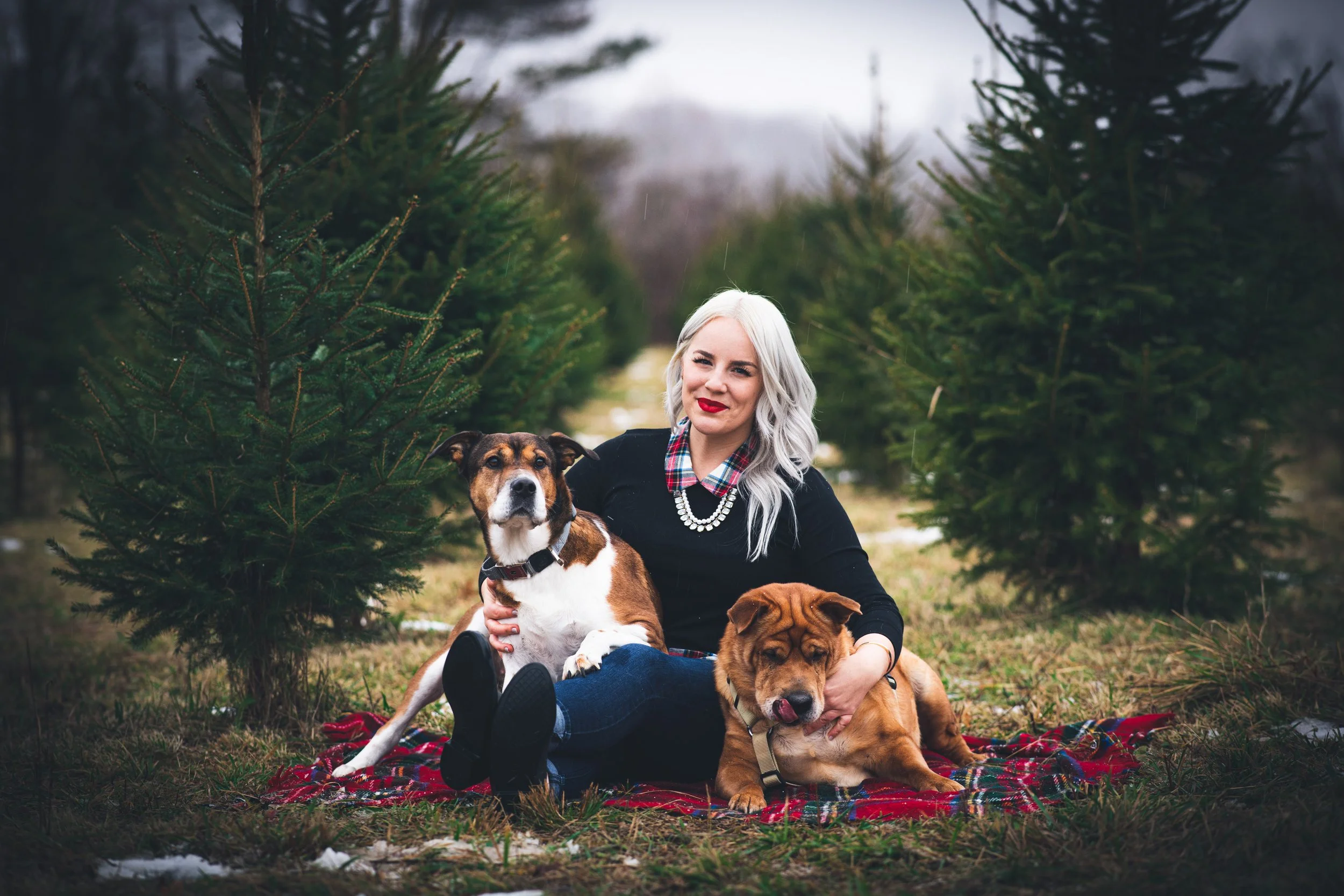 A woman with long, wavy blonde hair wearing a black top and red lipstick sitting on a red plaid blanket outdoors in a Christmas tree farm with two dogs, one sitting up and the other lying down.
