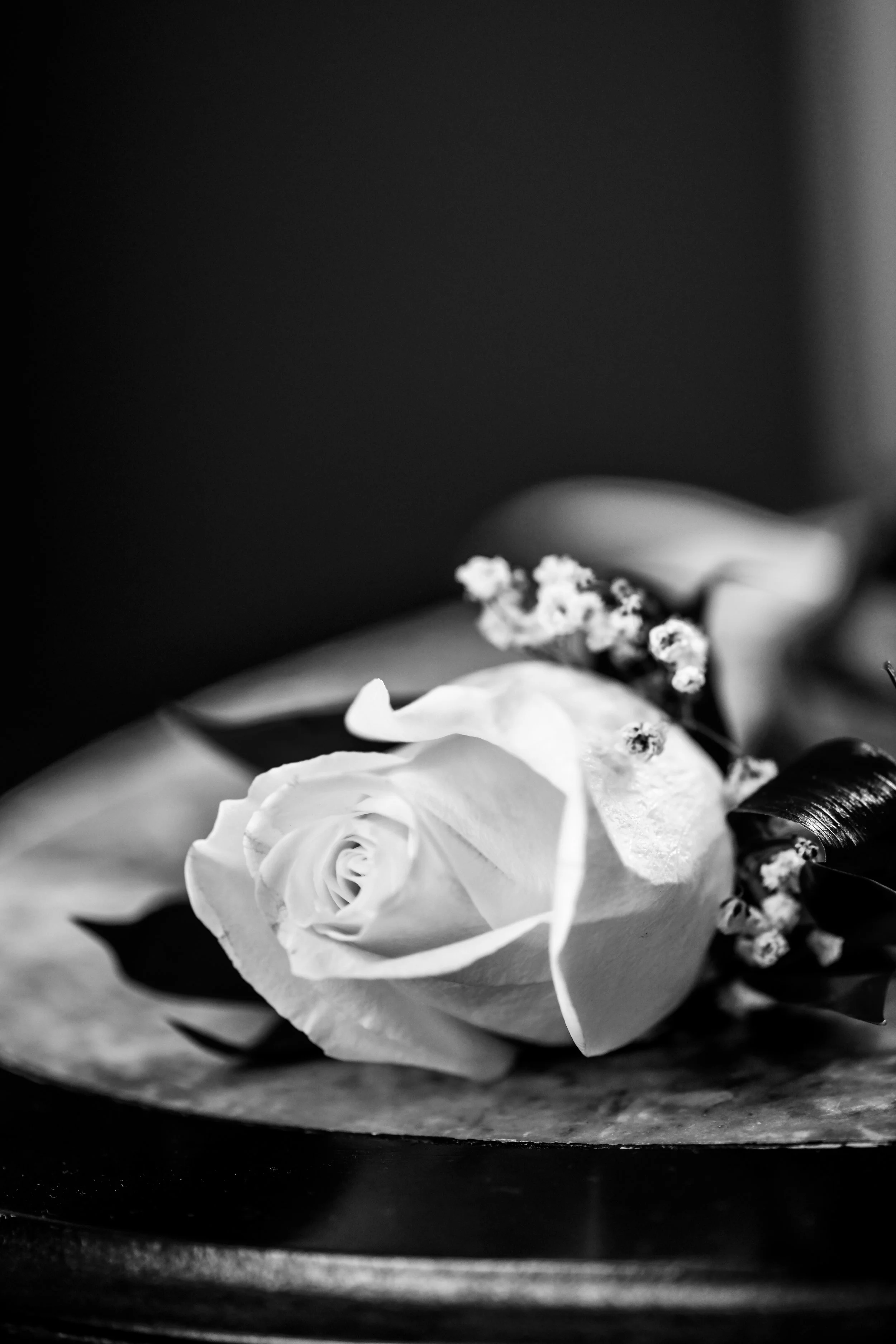 A black-and-white photograph of a single rose with some small white flowers and dark leaves, resting on a surface.