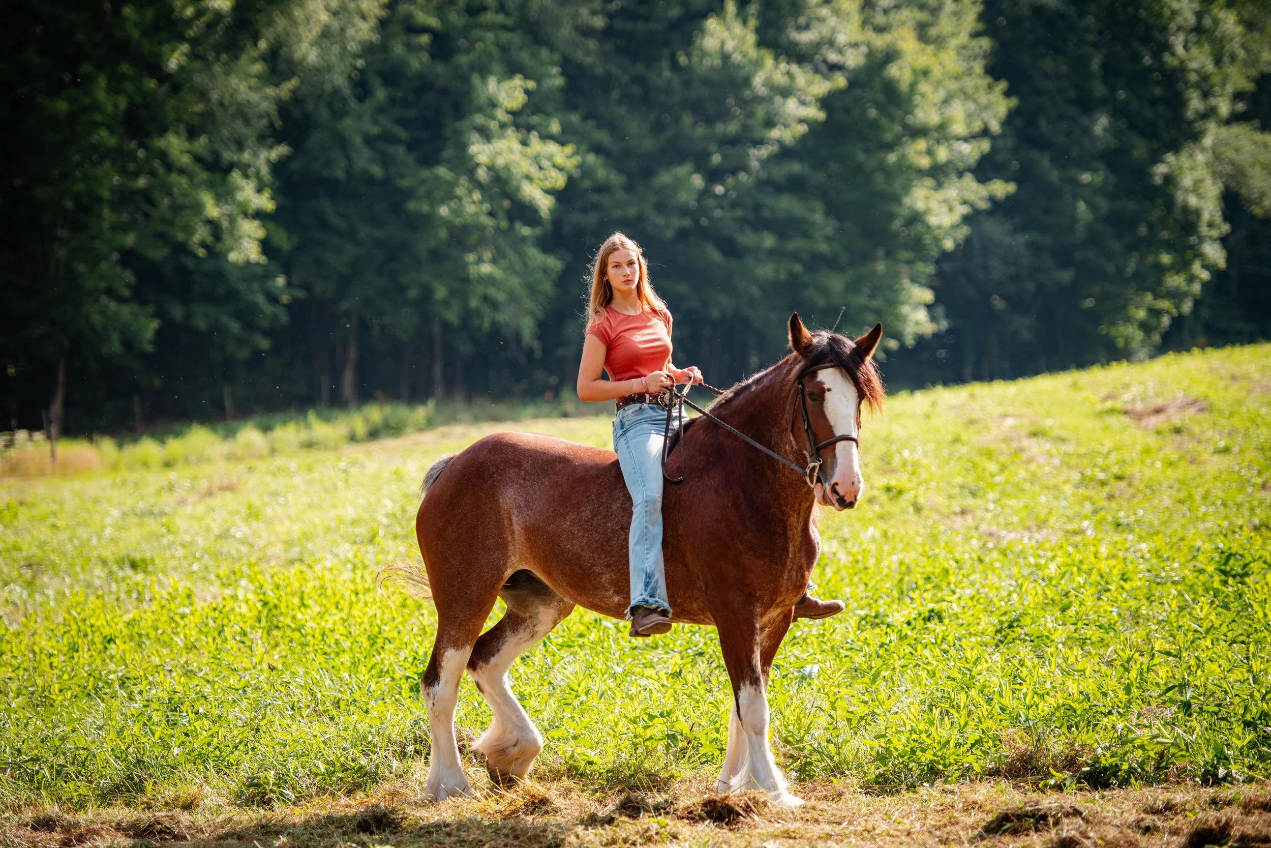 A young woman riding a brown and white horse in a grassy field with trees in the background.