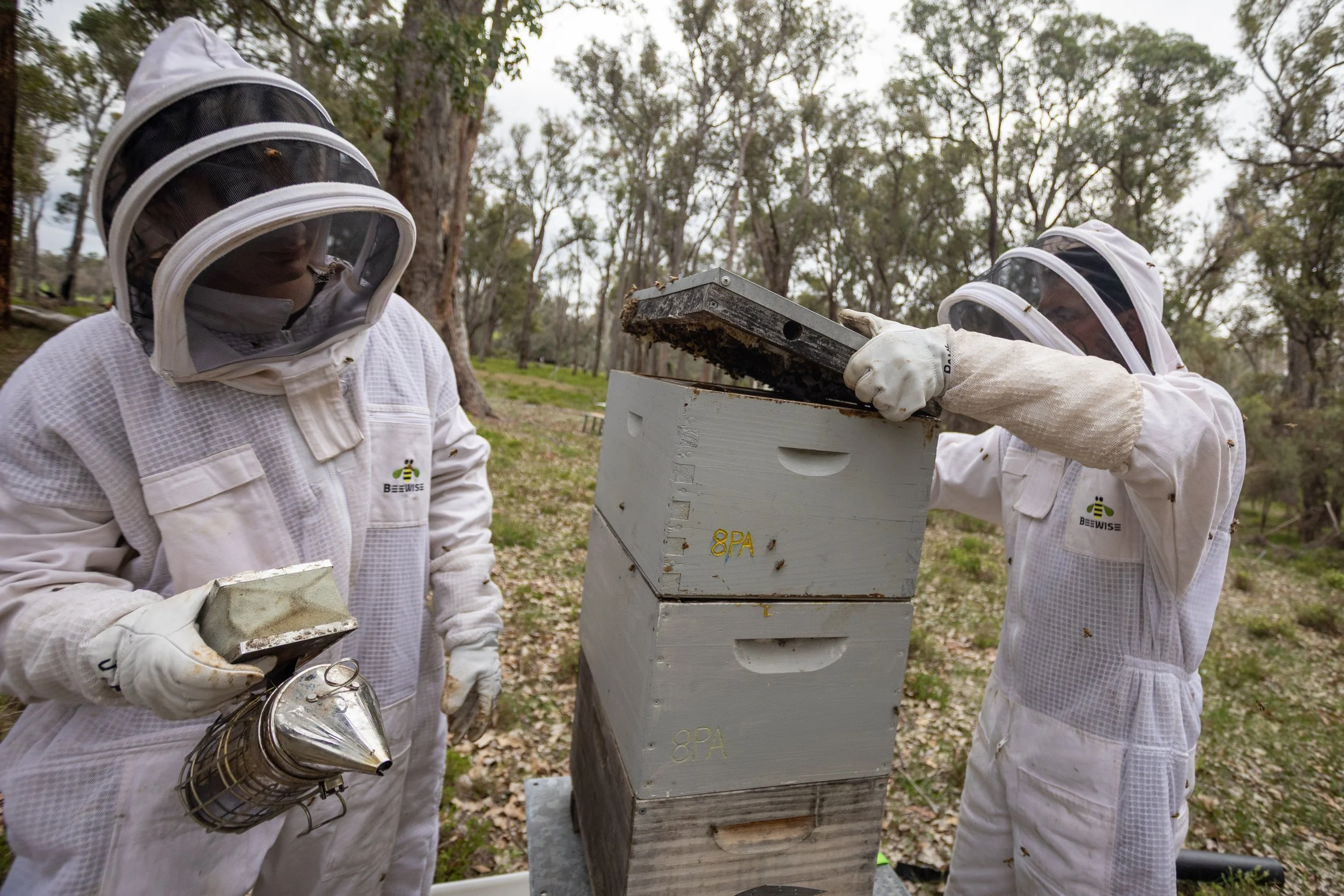 Guided Hive Tour & Honey Bottling