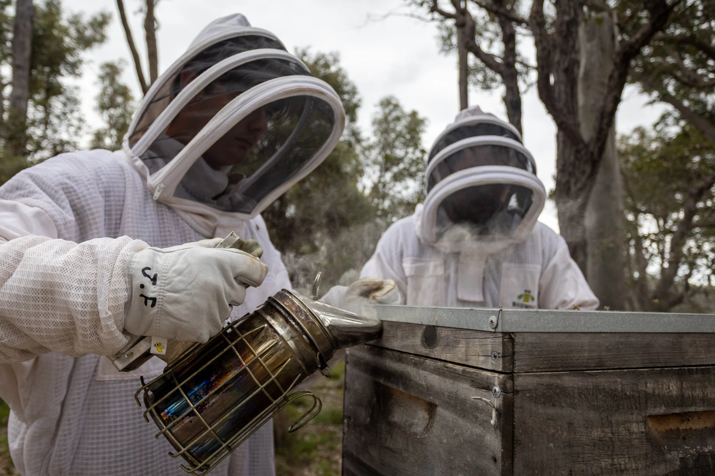 Guided Hive Tour & Honey Bottling