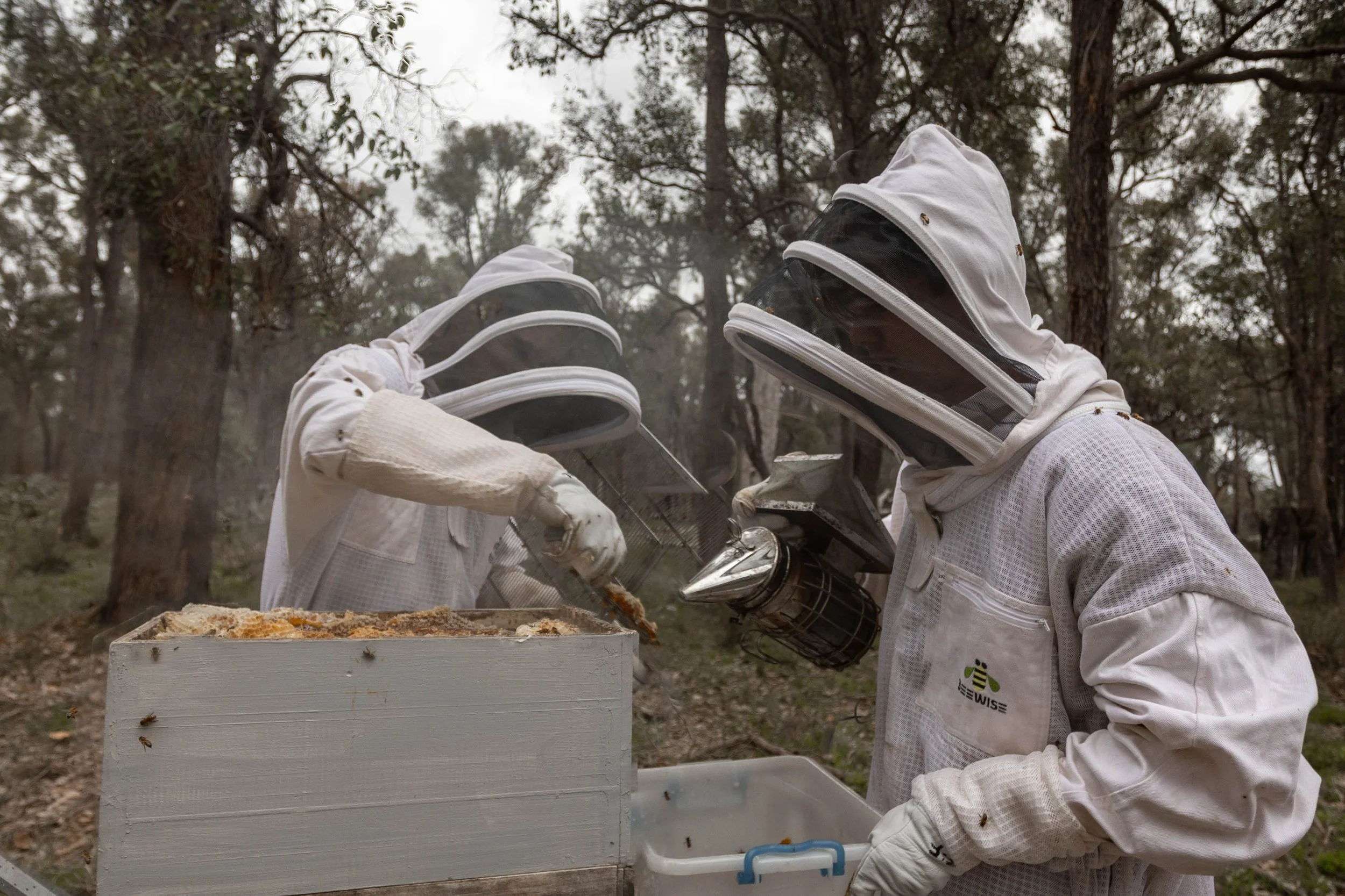 Ferguson Raw Honey