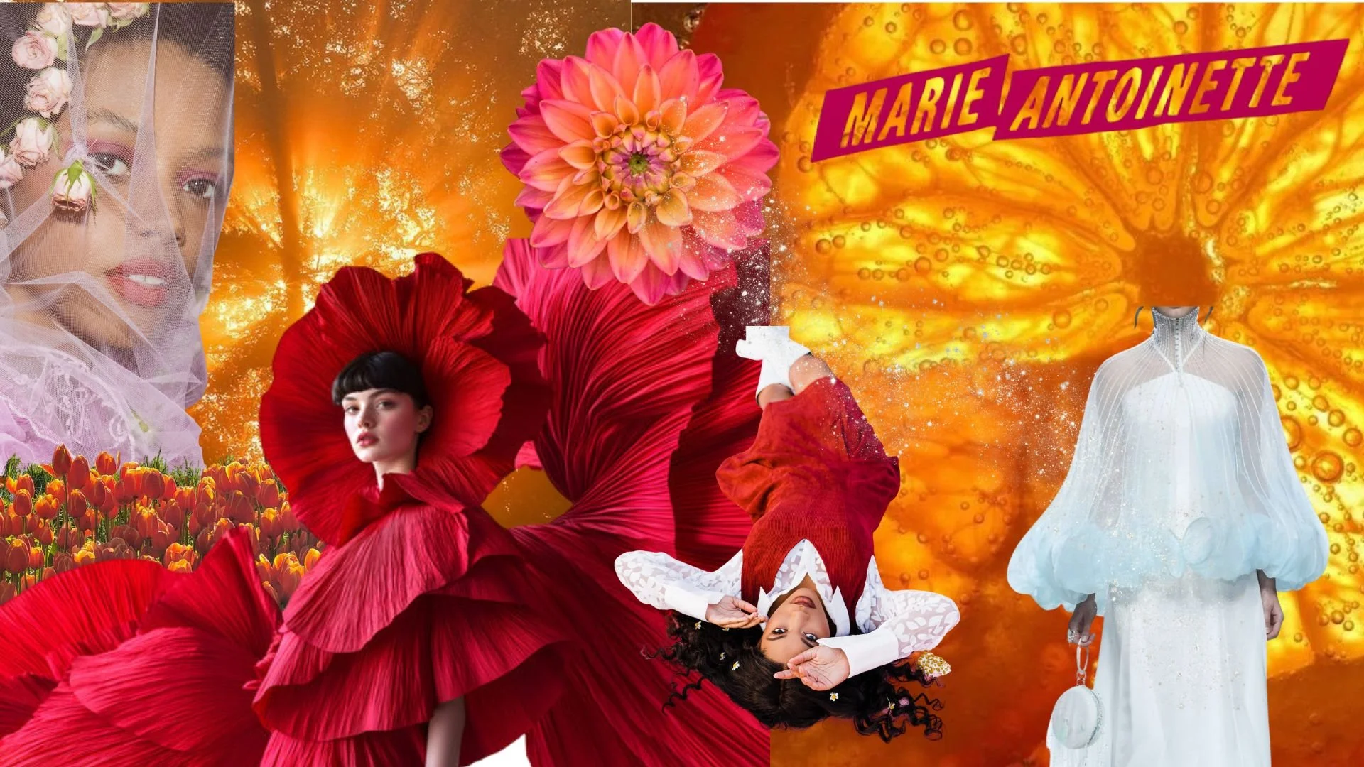 the Misanthrope - Concept