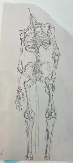 Screenshot 2026-02-25 002358.png