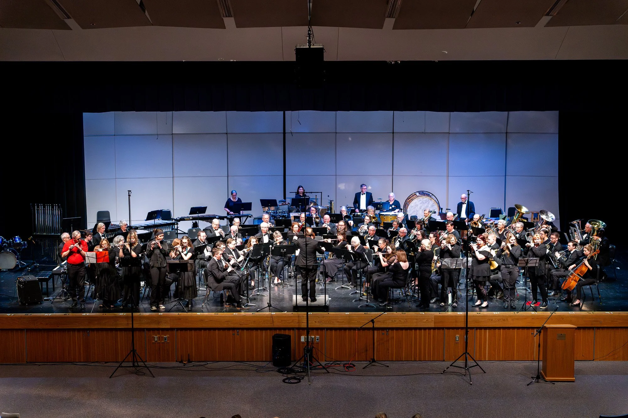 Concert band performing on stage with conductor centered, musicians arranged in sections and percussion visible in the back and many piccolo players standing at front..