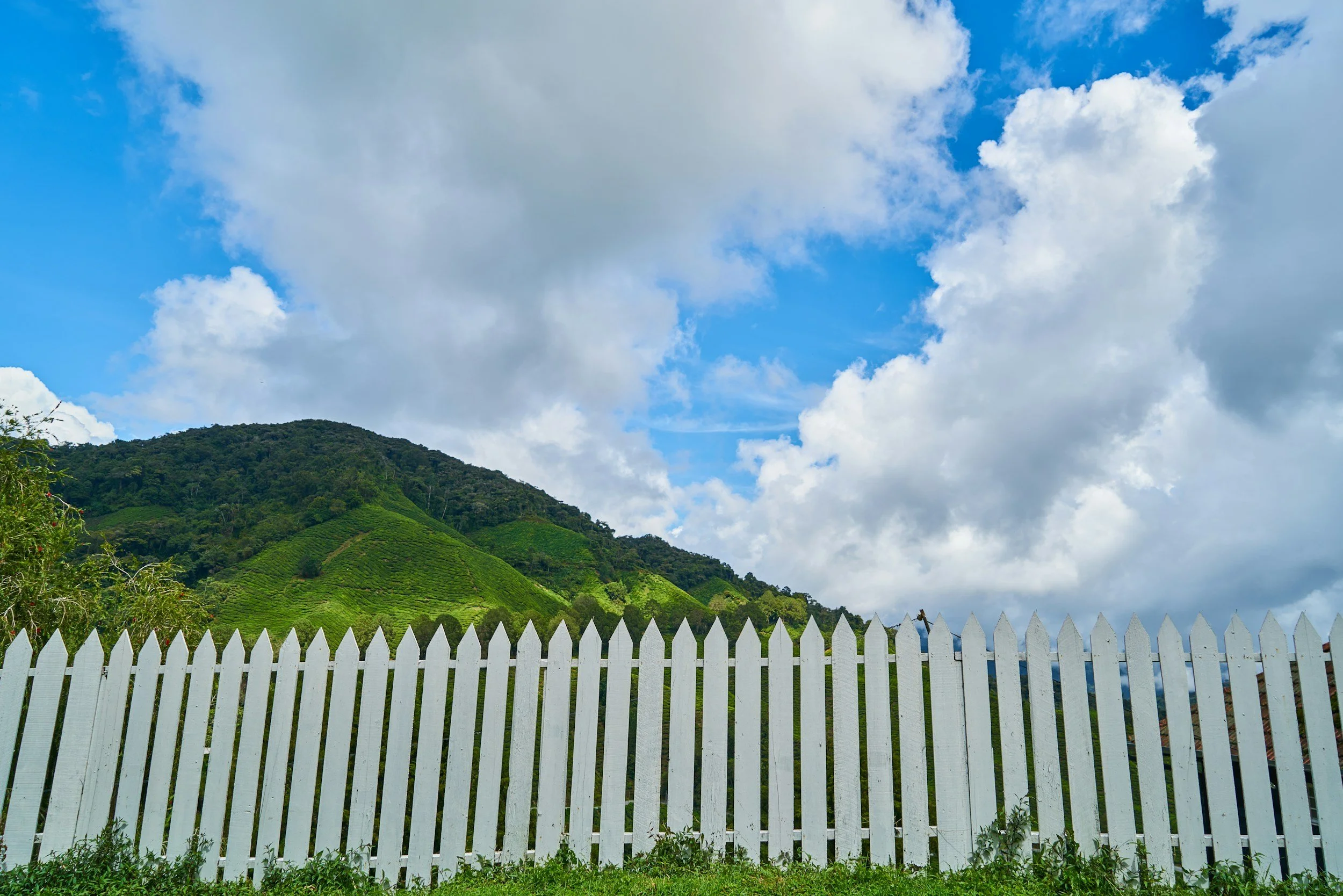 Is PVC Fencing Worth It in New Zealand? A Practical Guide for Homeowners