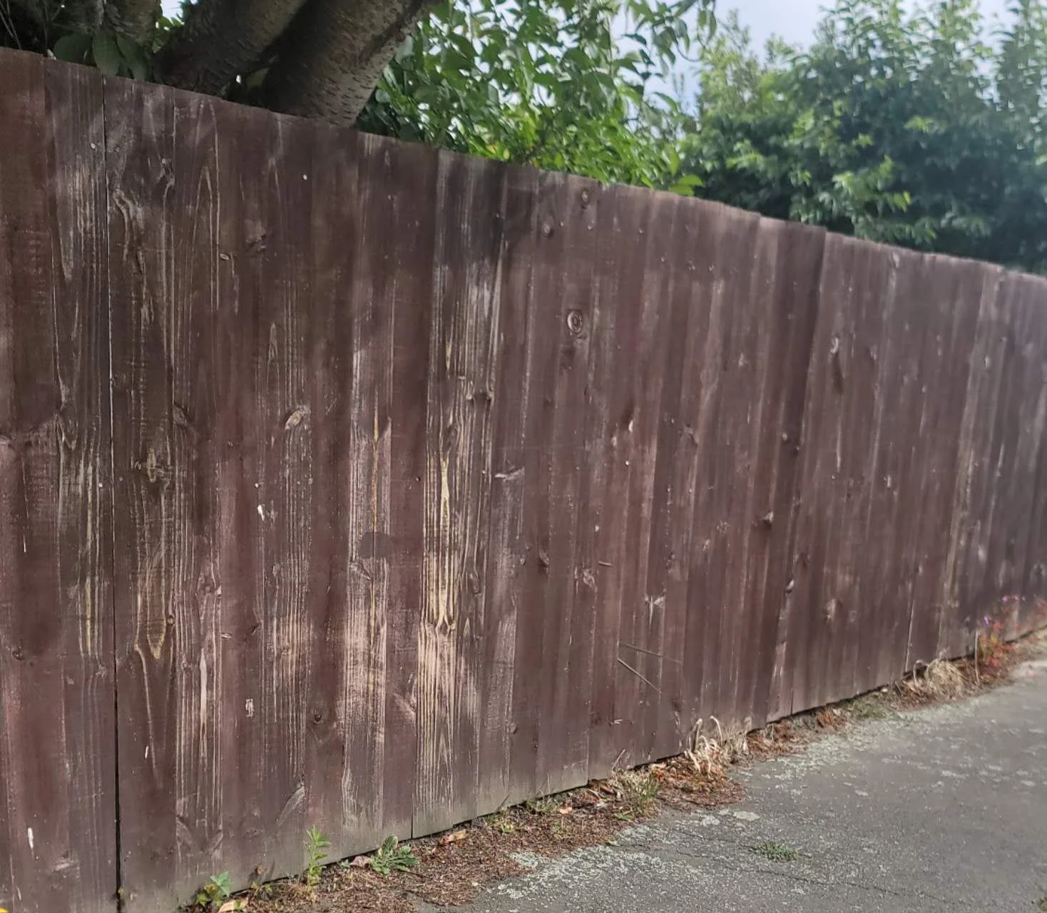 Why Timber Fences Crack, Warp and Fade — And Why More NZ Homeowners Are Choosing PVC