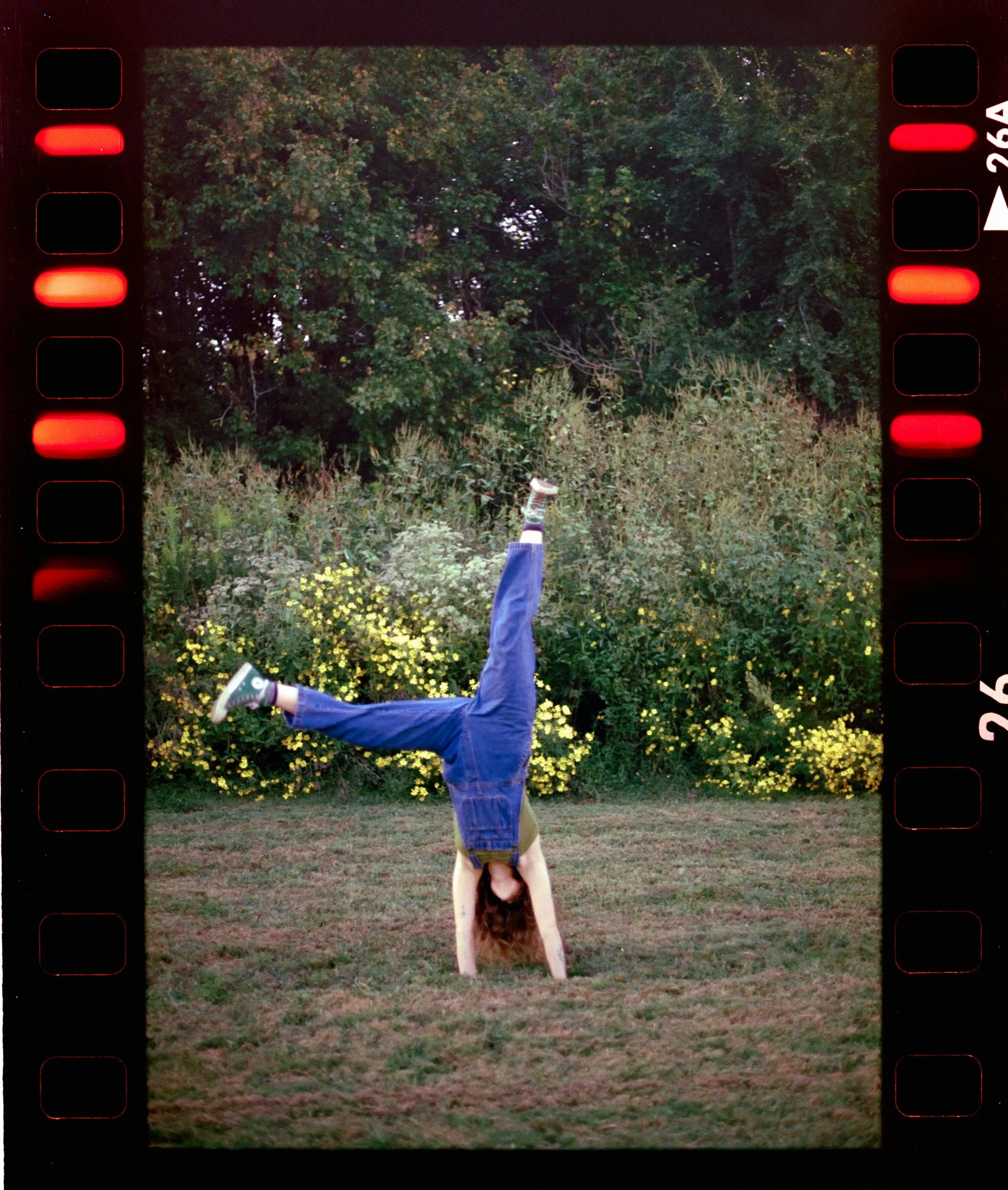 A person in blue pants is doing a handstand outdoors in a grassy area, with trees and yellow flowers behind them.
