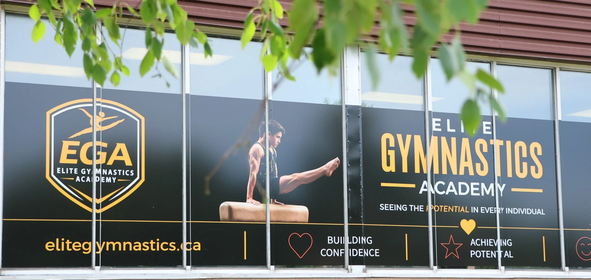 Families visiting Elite Gymnastics Academy during Opening Day in Oakville, Ontario