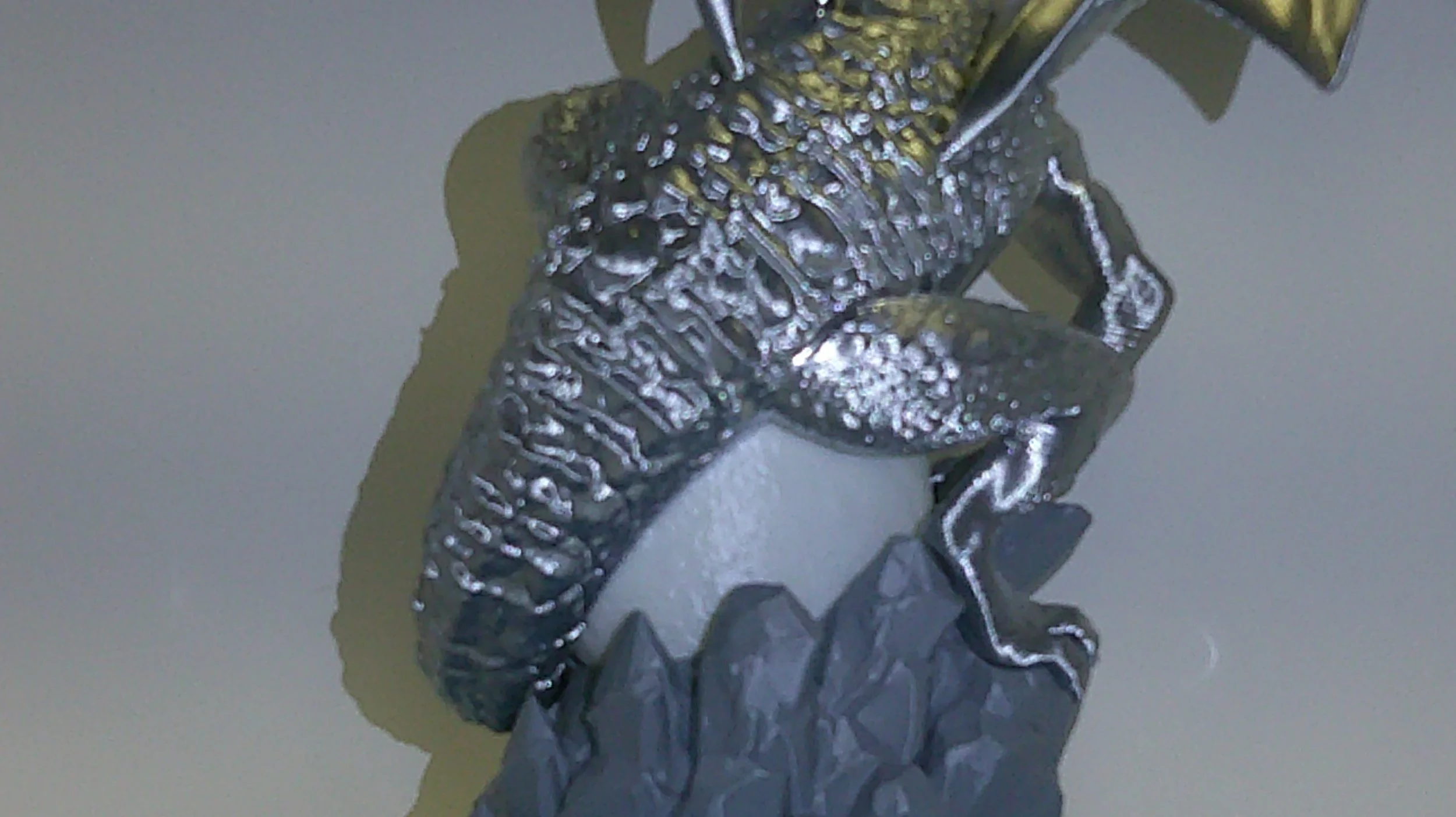 DSCF0014.JPG