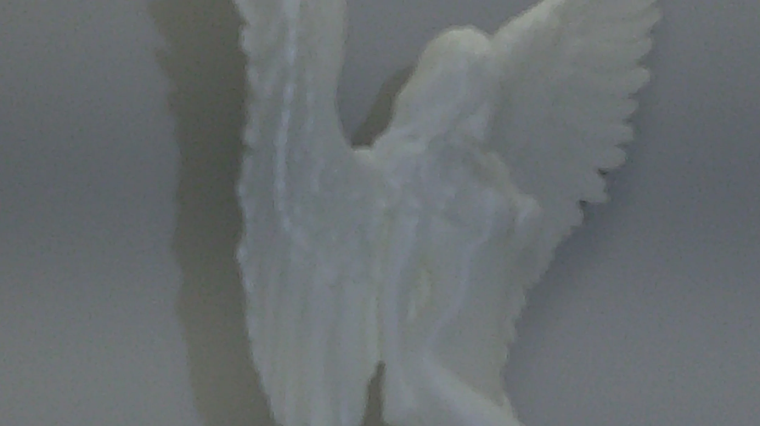 DSCF0272.JPG