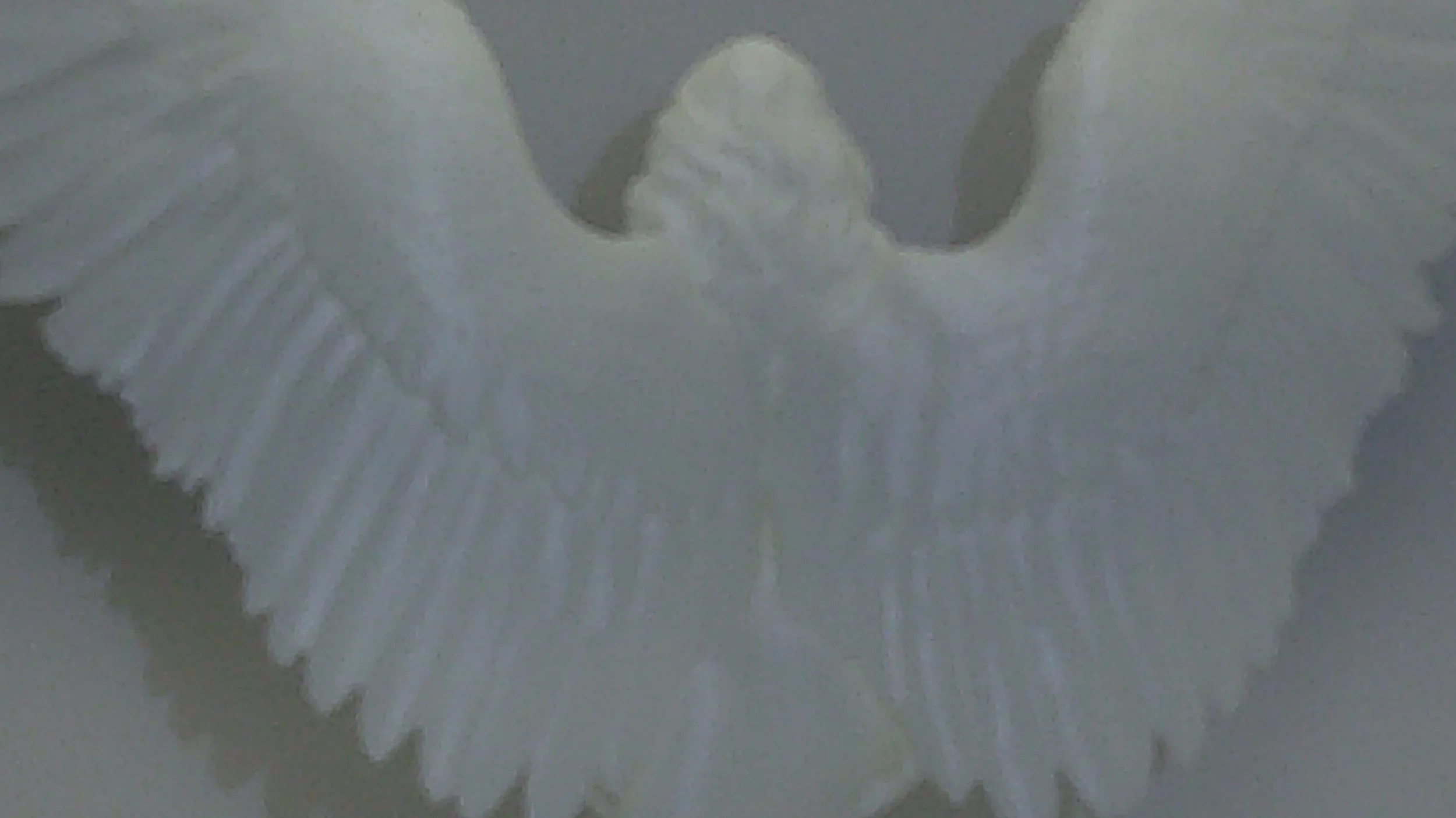 DSCF0270.JPG