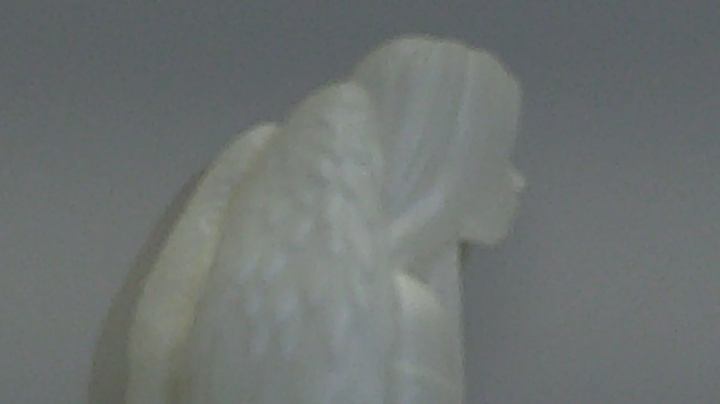 DSCF0223.JPG