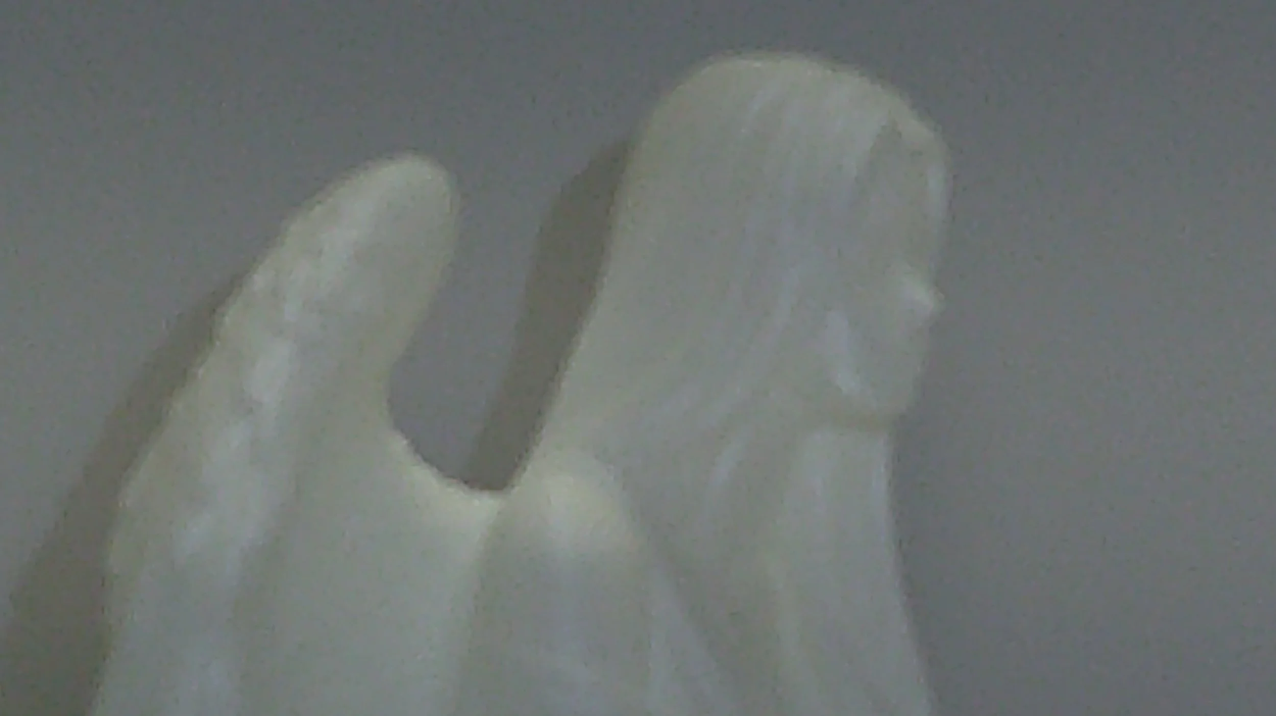 DSCF0224.JPG