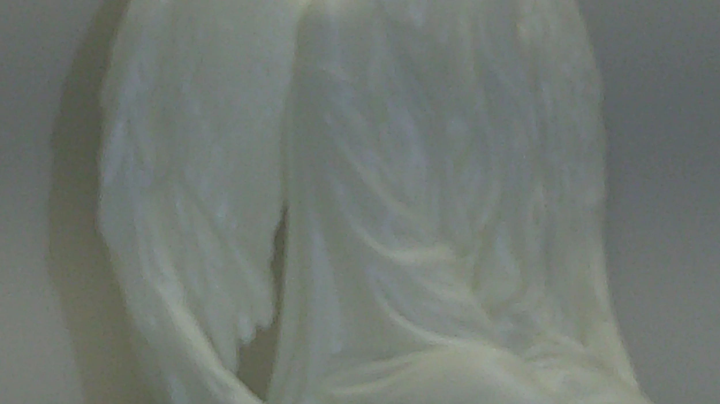 DSCF0221.JPG