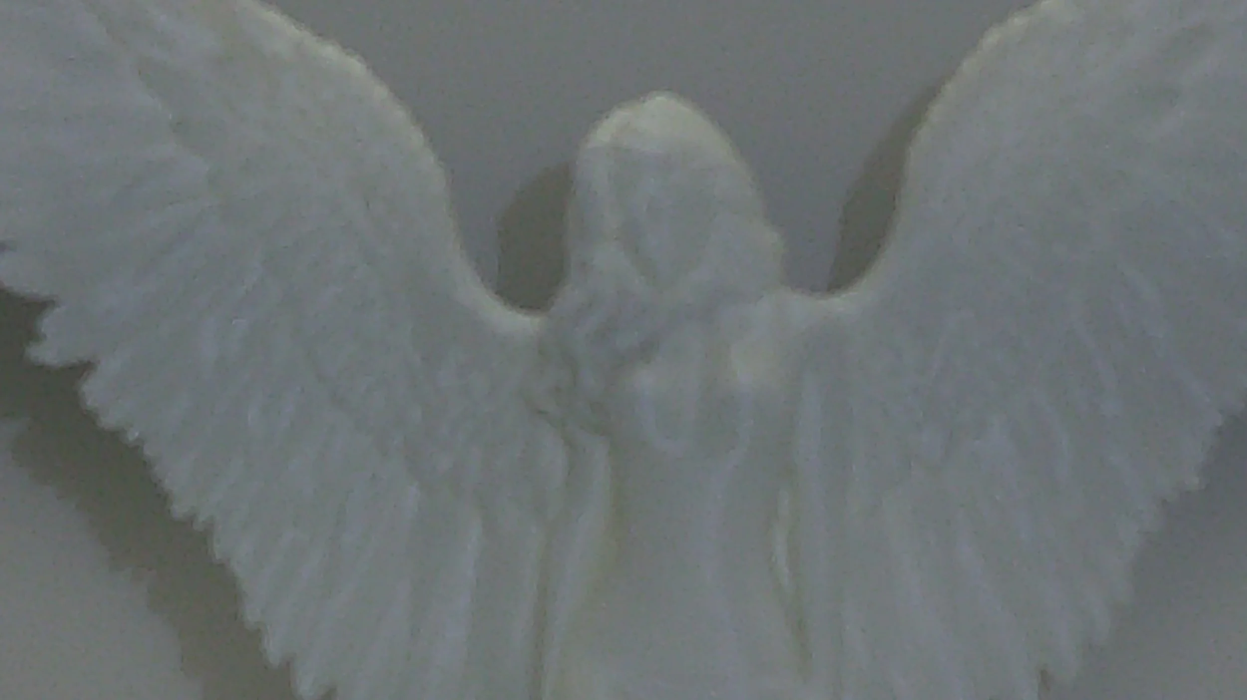 DSCF0274.JPG