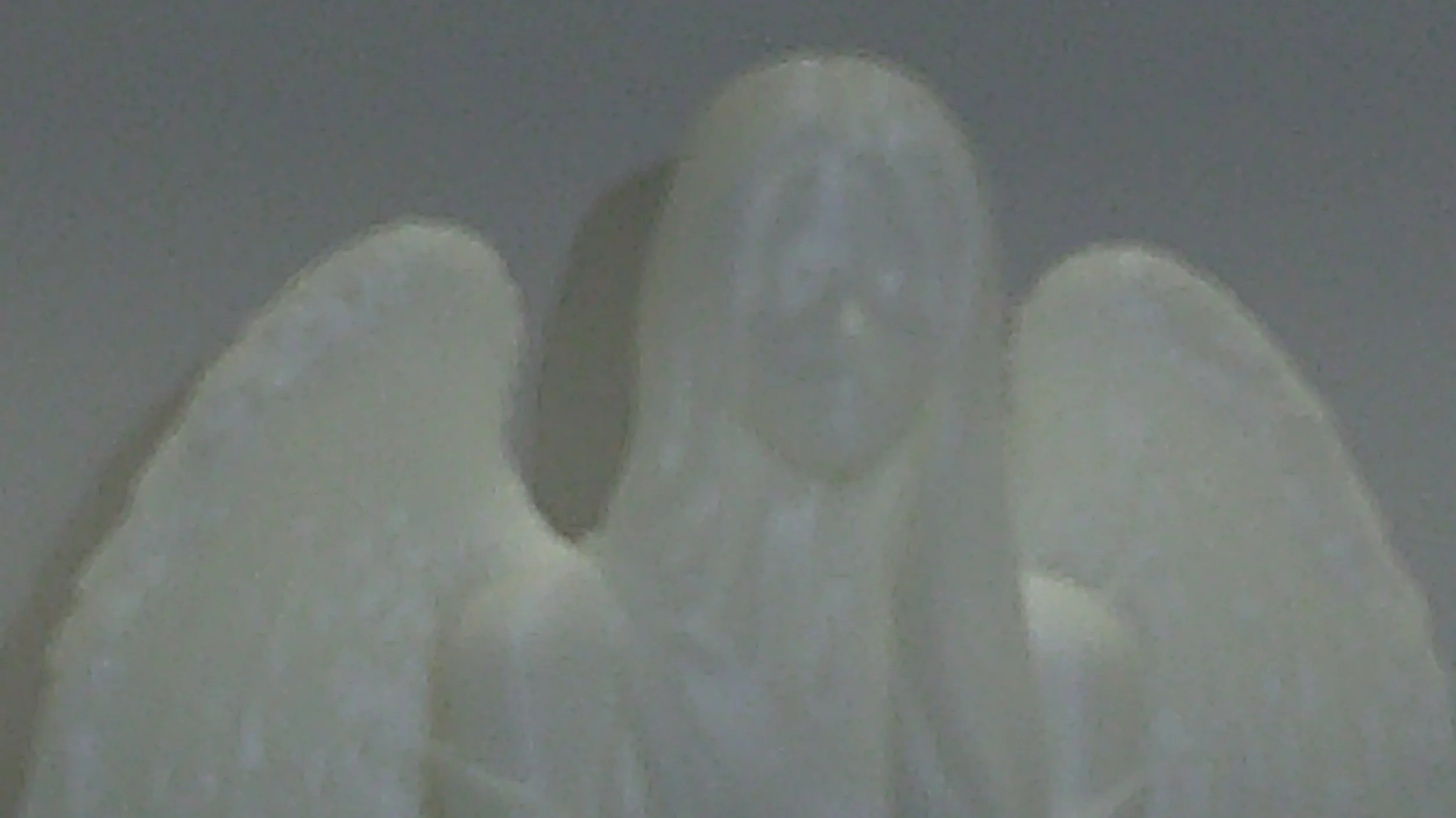 DSCF0225.JPG