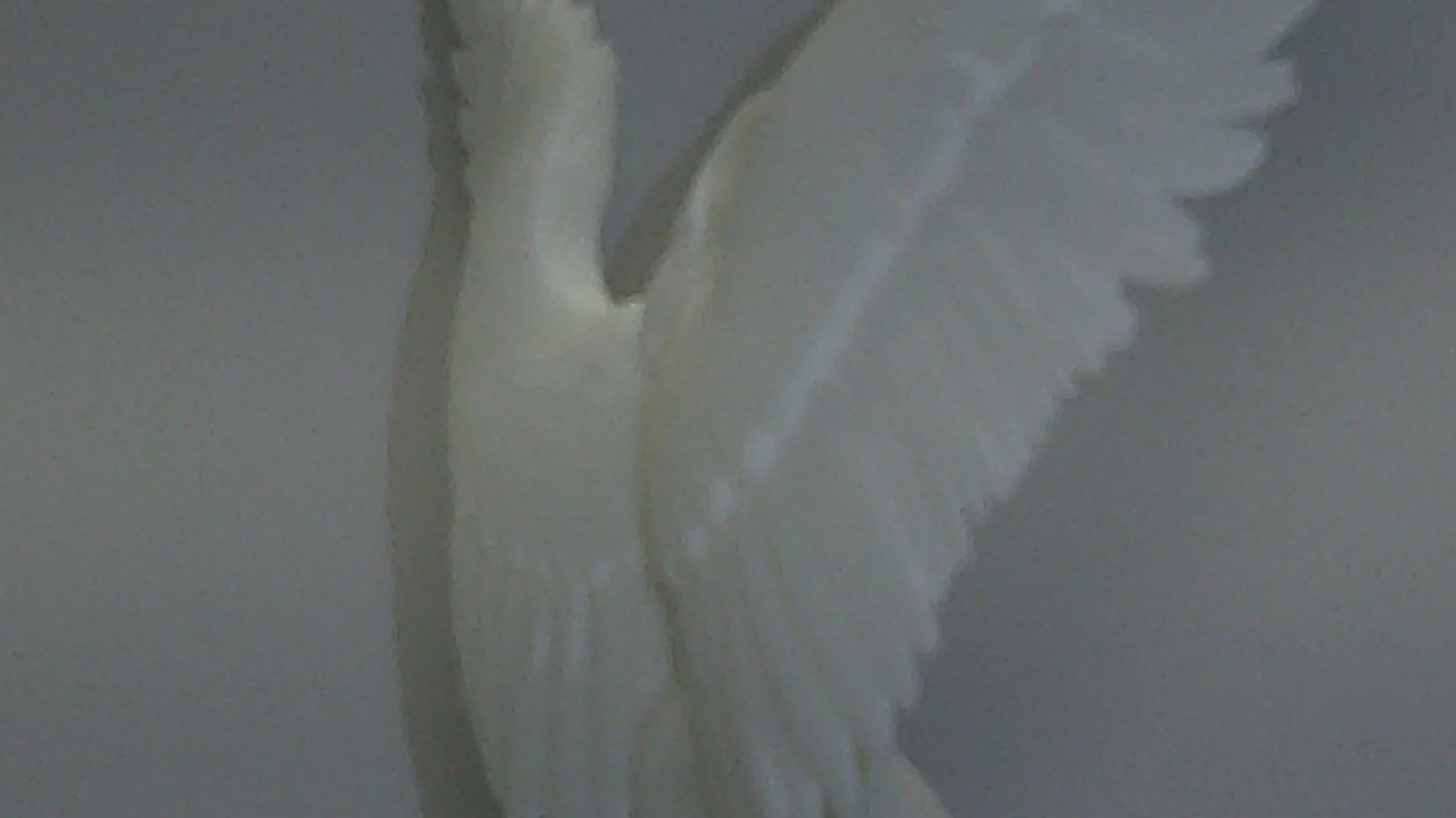 DSCF0271.JPG