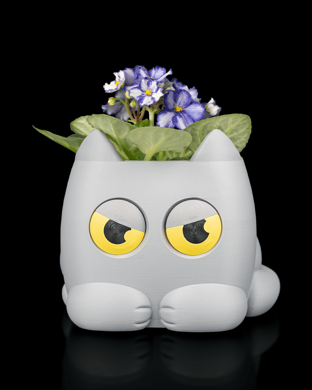 Grumpy Kitty Hydration Planter