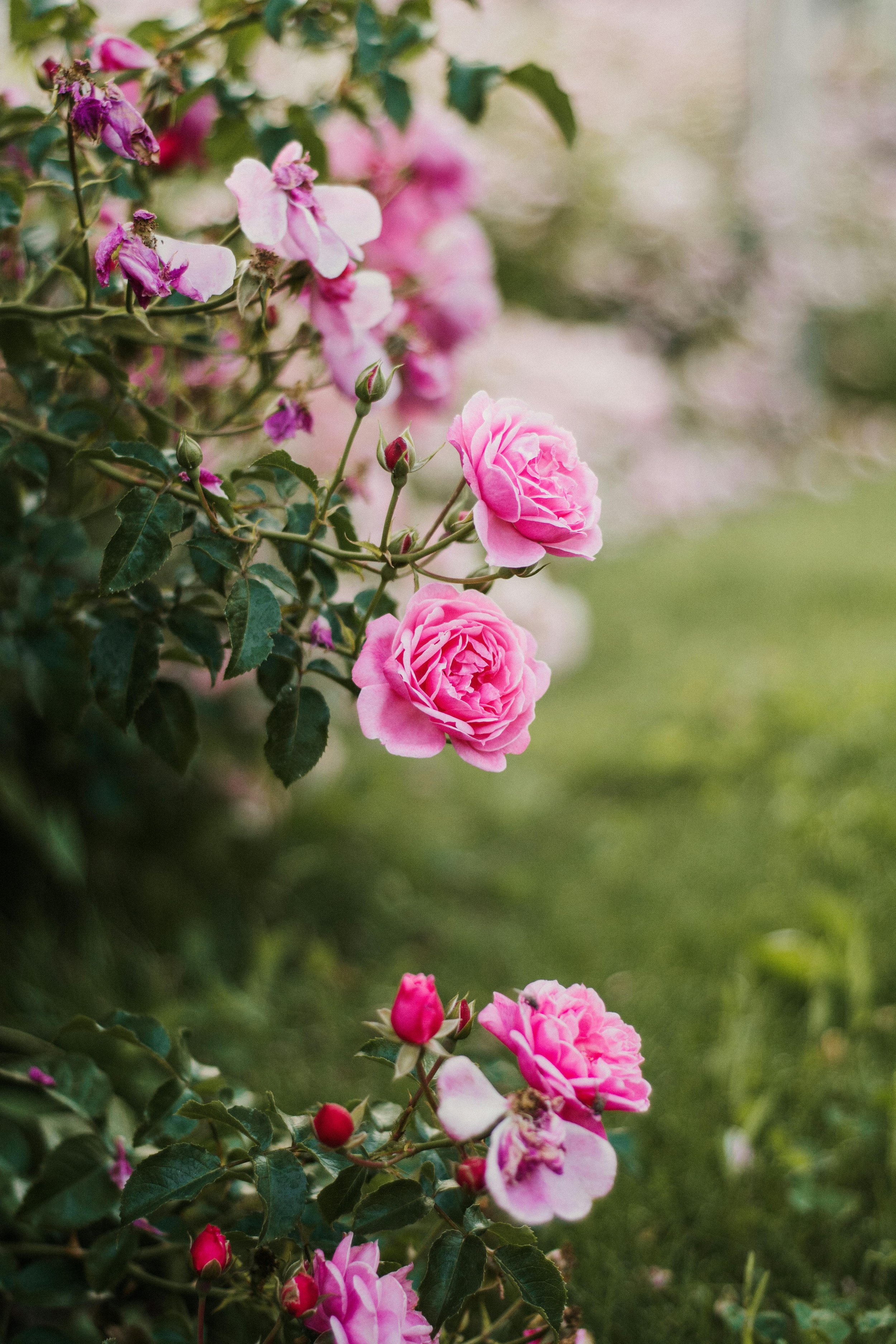 Idling Towards Nothingness: Radical Acts of Refusal