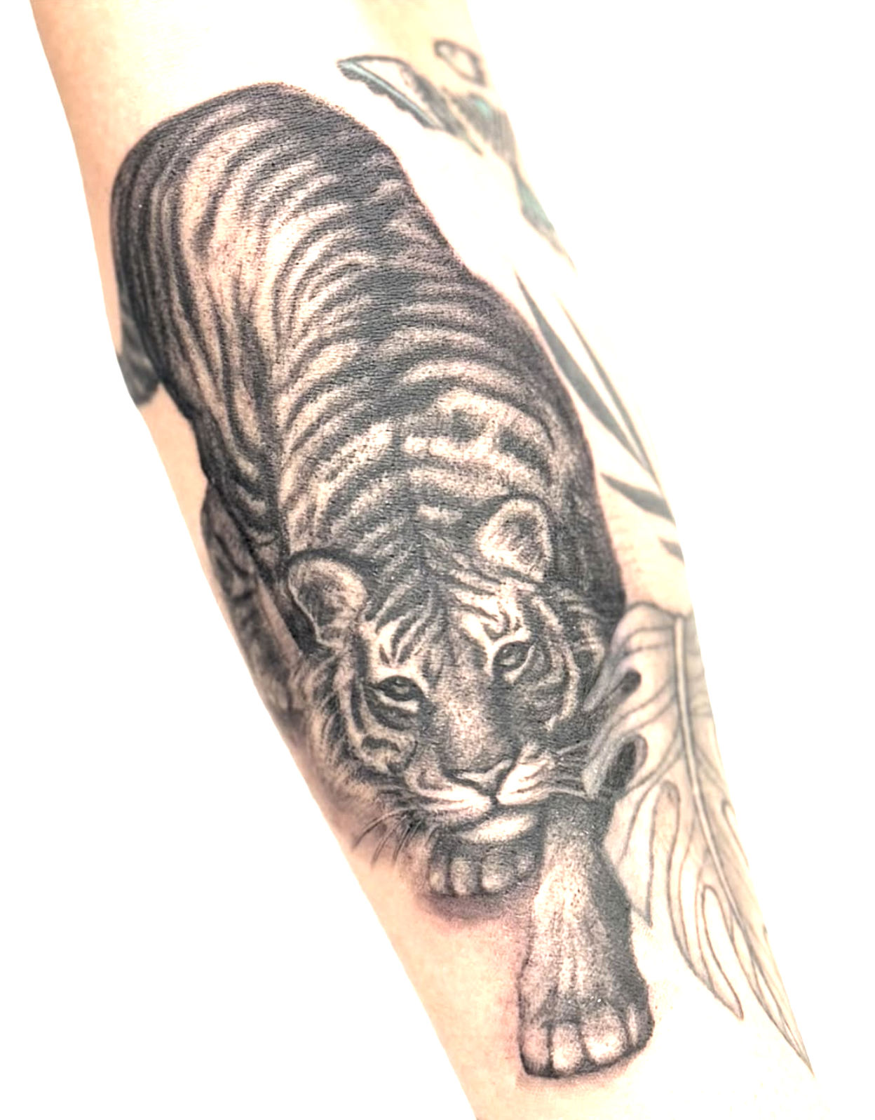 Screenshot 2026-03-03 at 6.05.15 PM.png