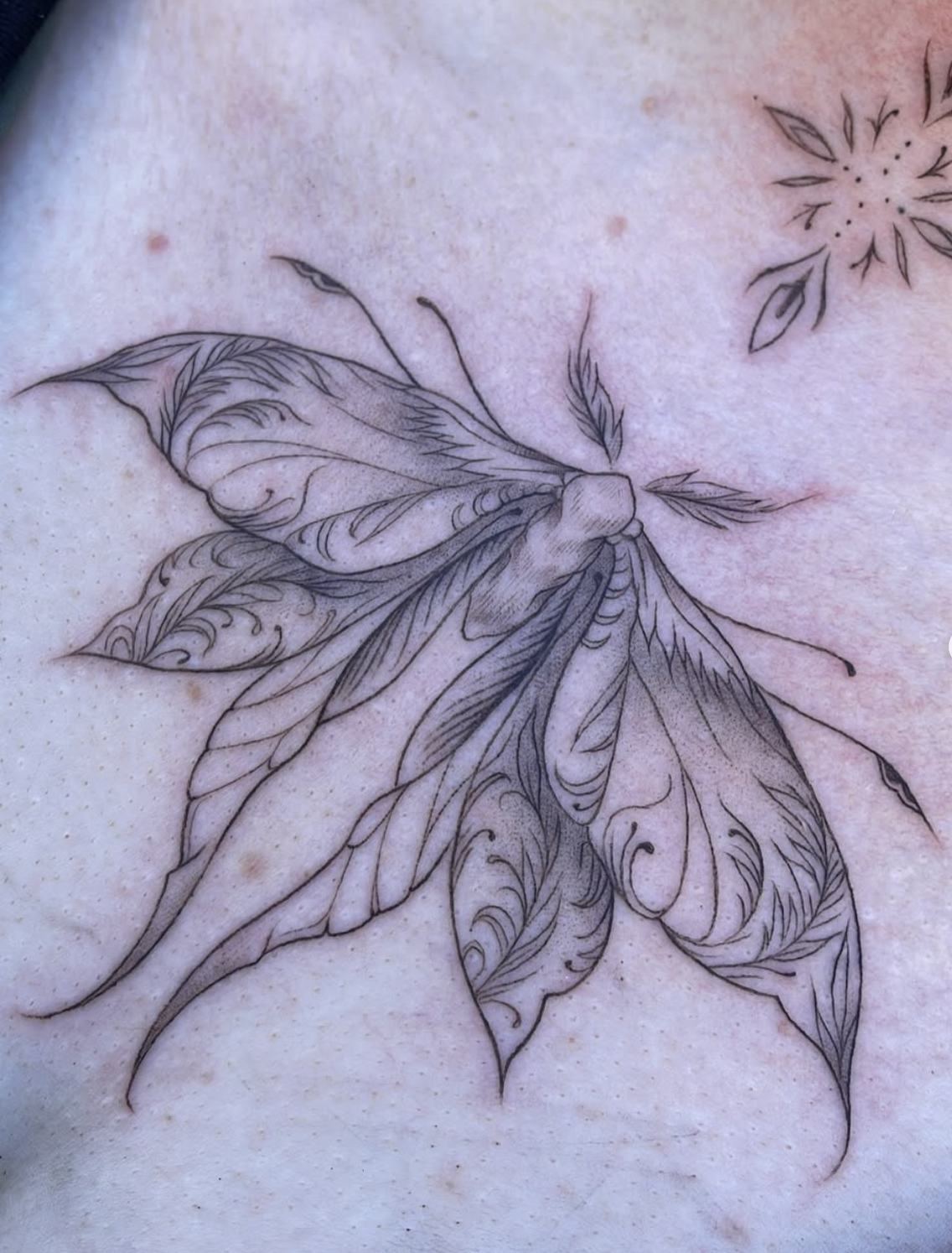 Screenshot 2026-03-03 at 6.16.05 PM.png