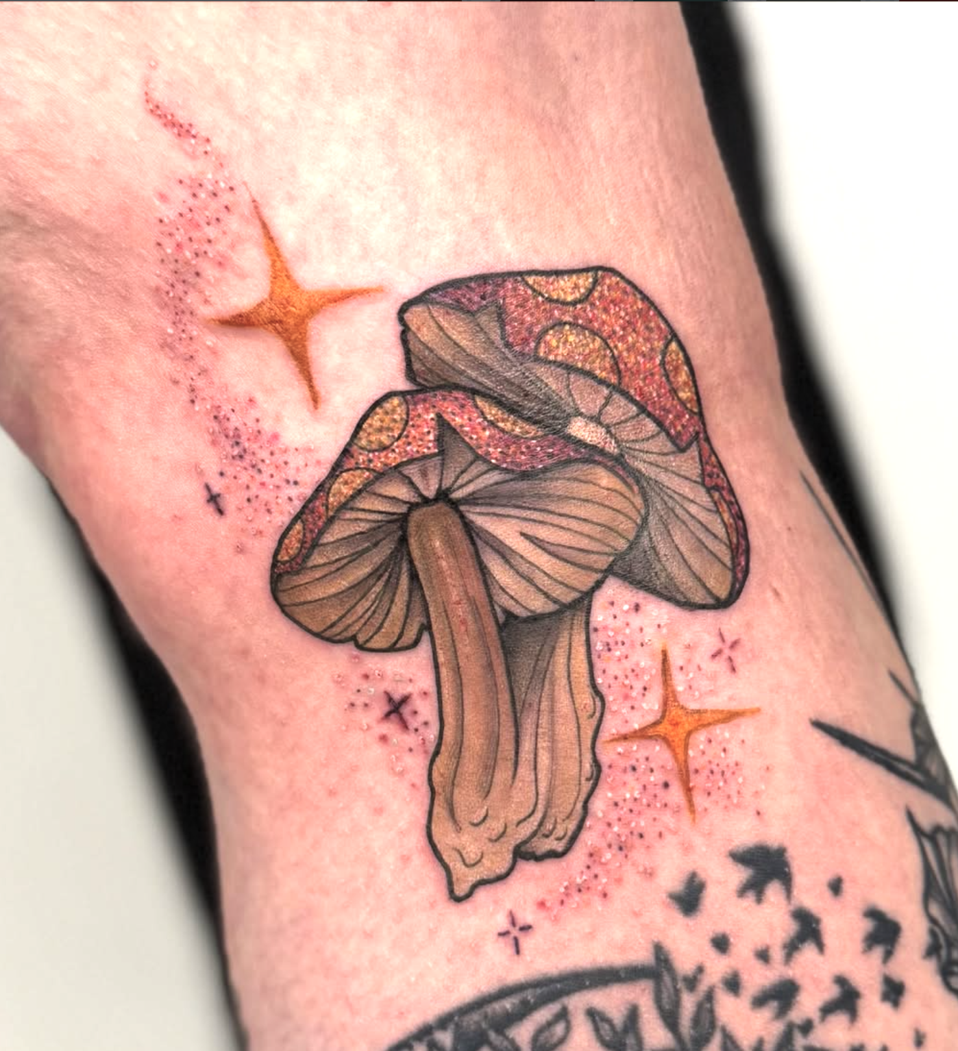 Screenshot 2026-03-03 at 6.07.01 PM.png