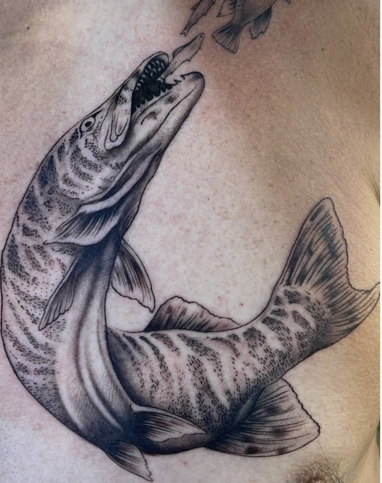 Screenshot 2026-03-03 at 6.14.58 PM.png