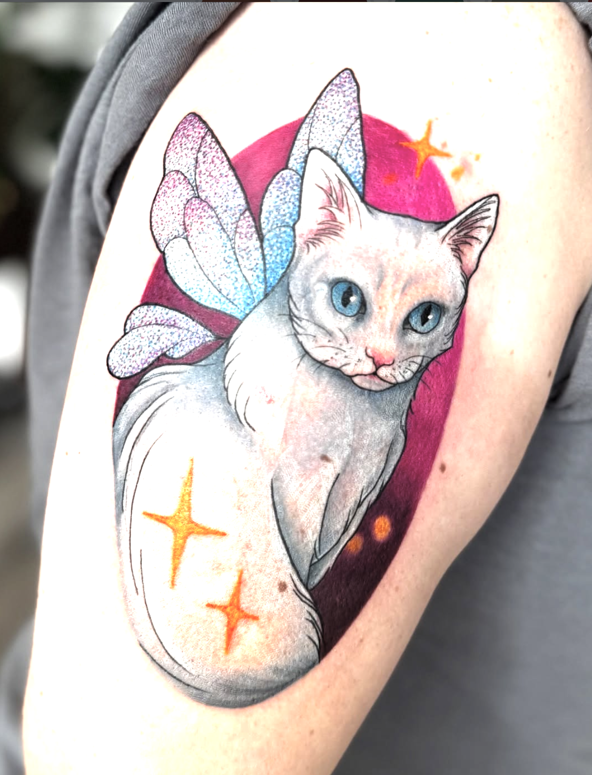 Screenshot 2026-03-03 at 6.08.00 PM.png