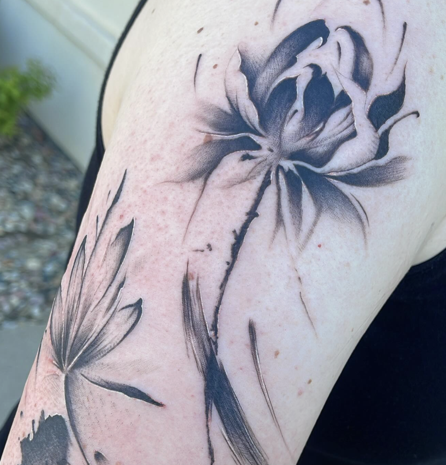 Screenshot 2026-03-03 at 6.17.16 PM.png